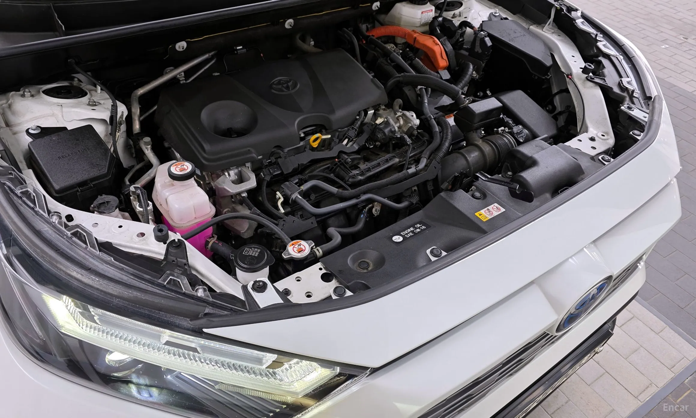 Toyota RAV4 5th Generation превью 6