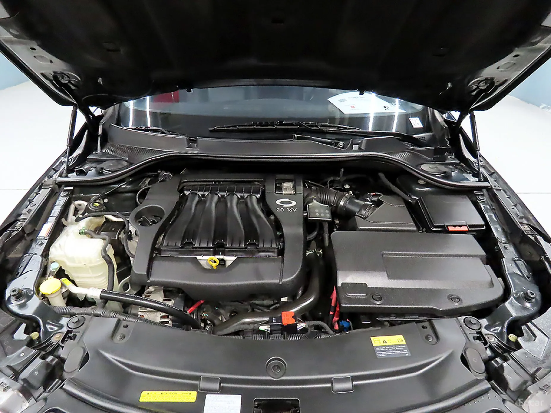 Renault Korea (Samsung) SM5 превью 6