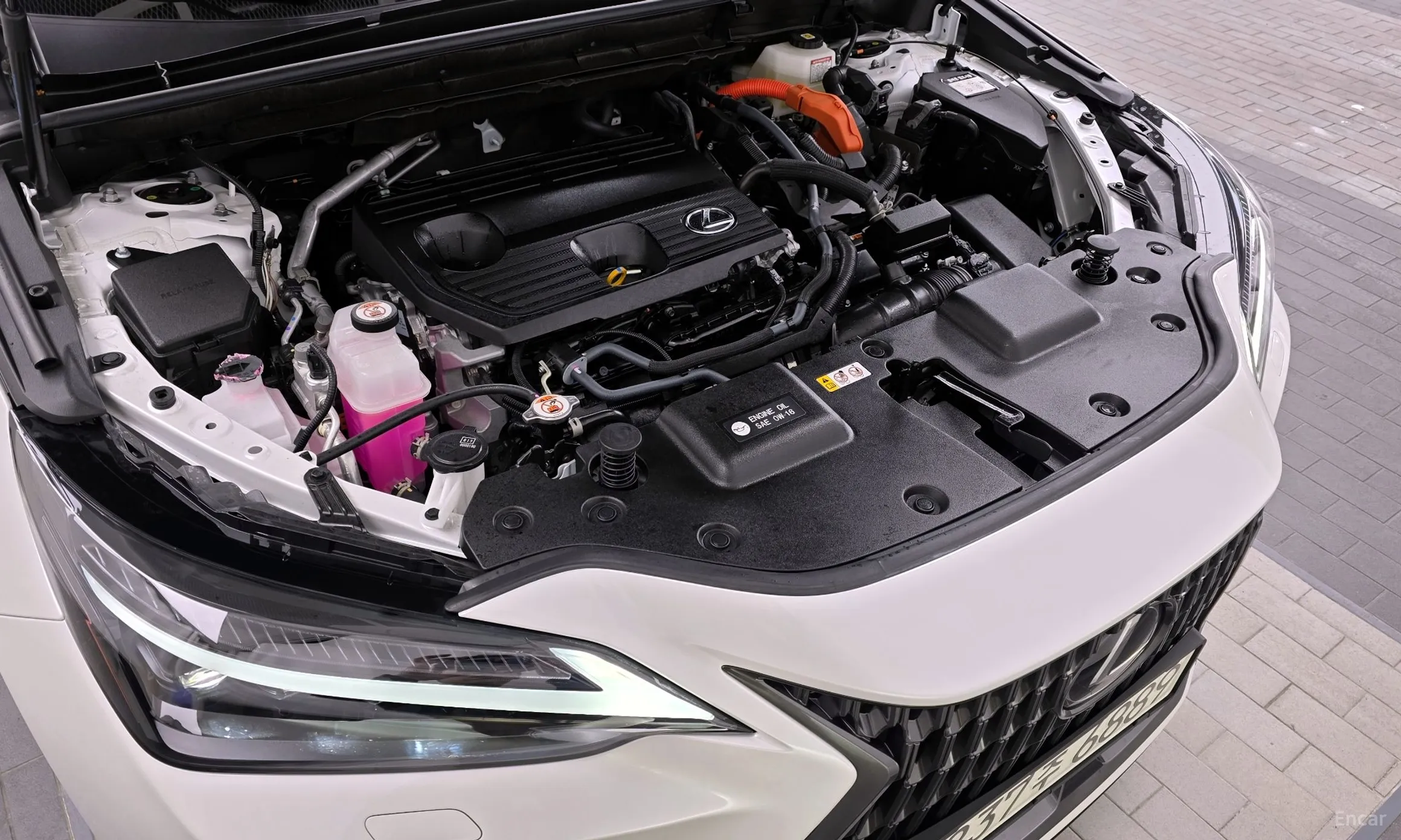 Lexus NX350h Gen 2 превью 6