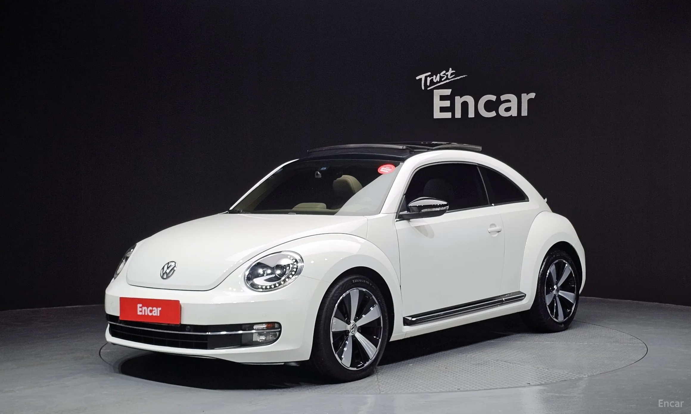 The Beetle
