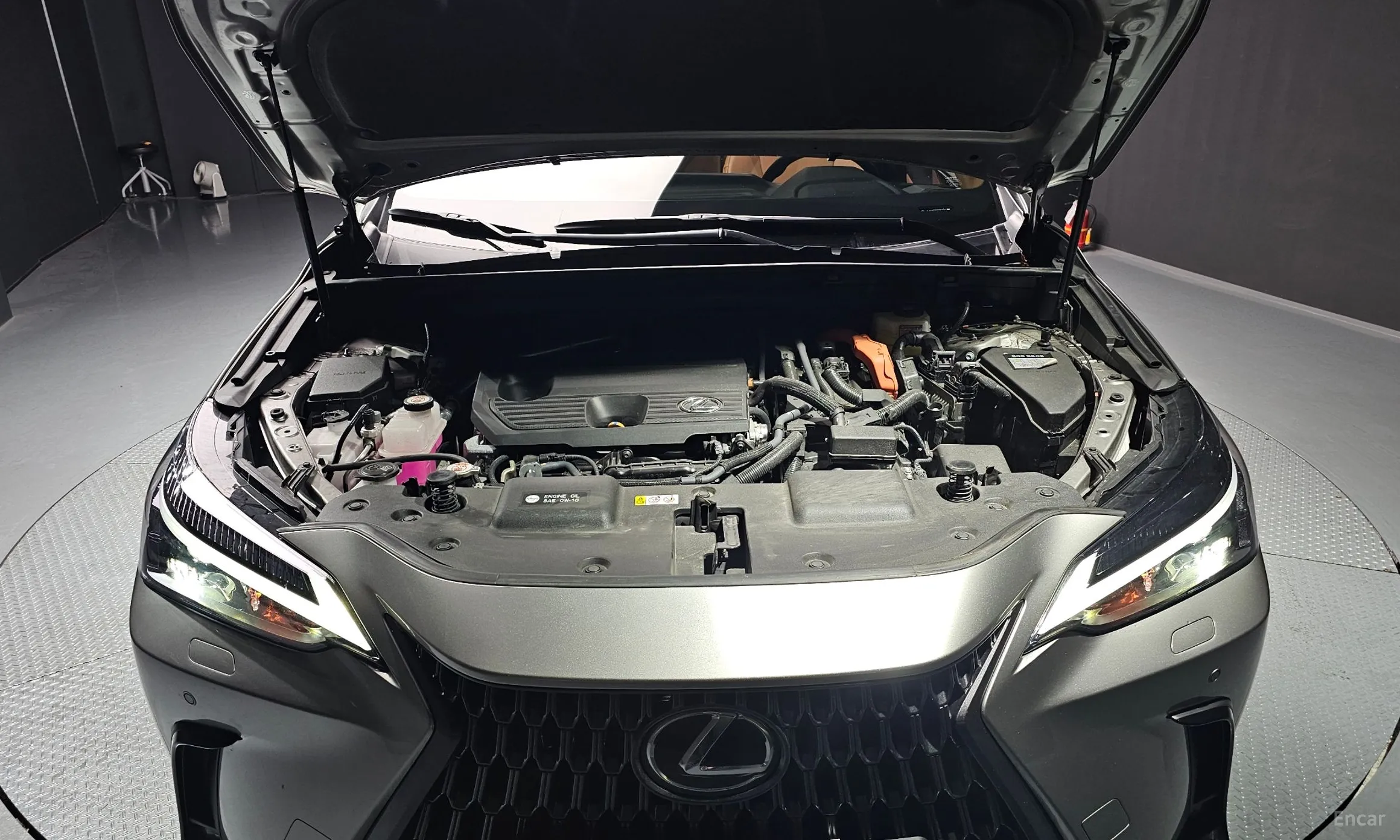 Lexus NX350h Gen 2 превью 6