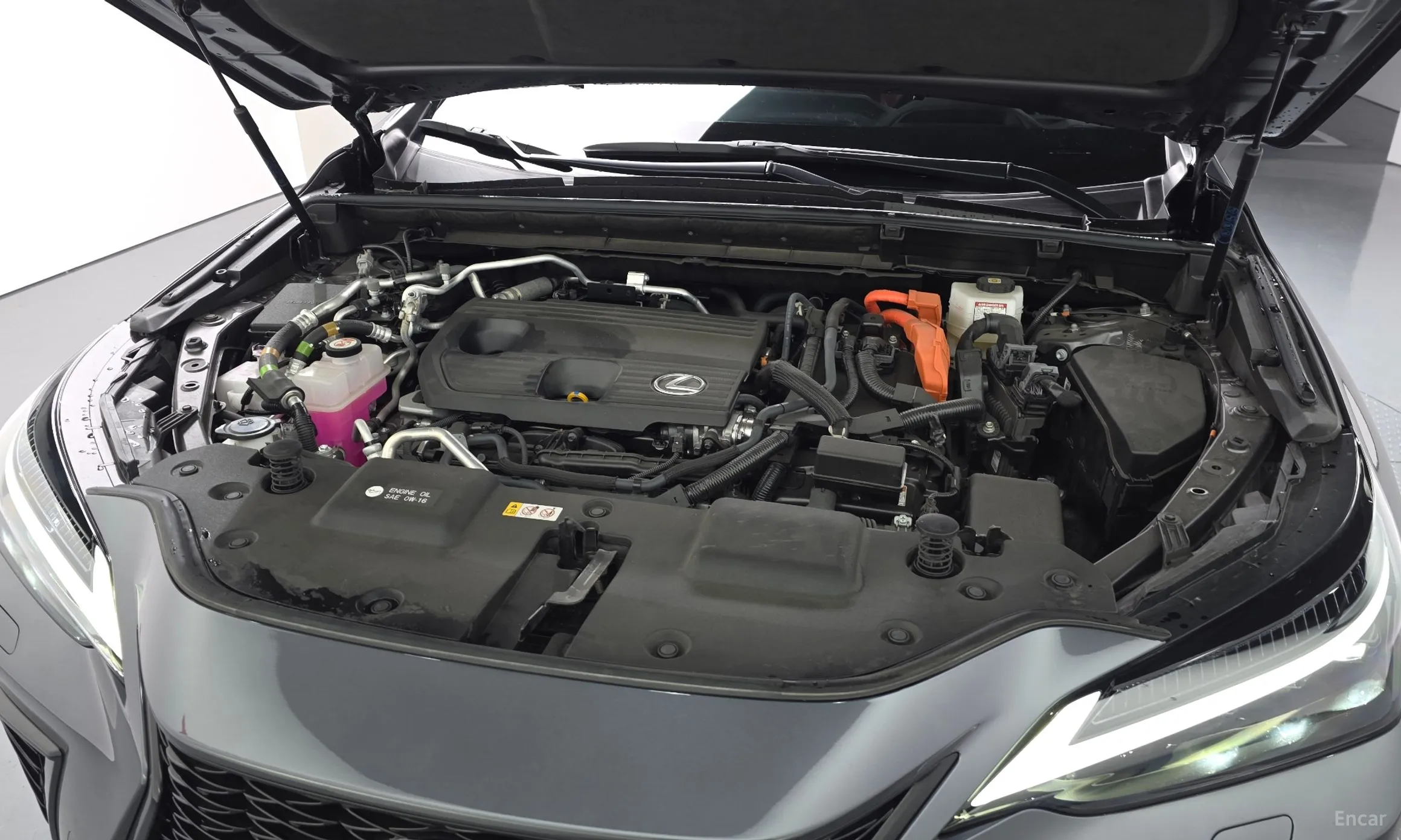Lexus NX450h + 2nd Gen превью 6