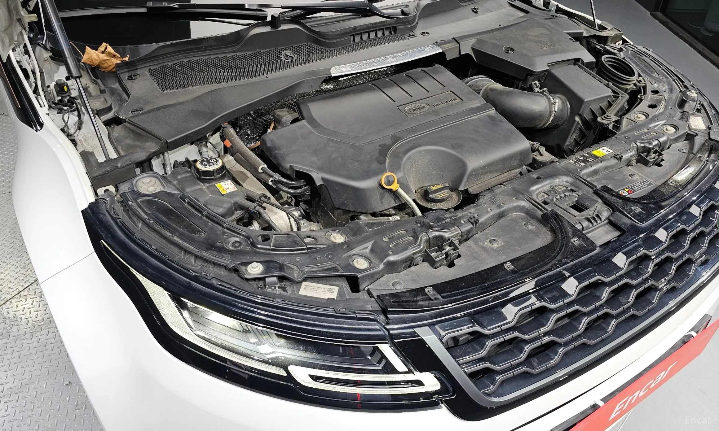 Land Rover Range Rover Evoque 2nd Generation превью 6
