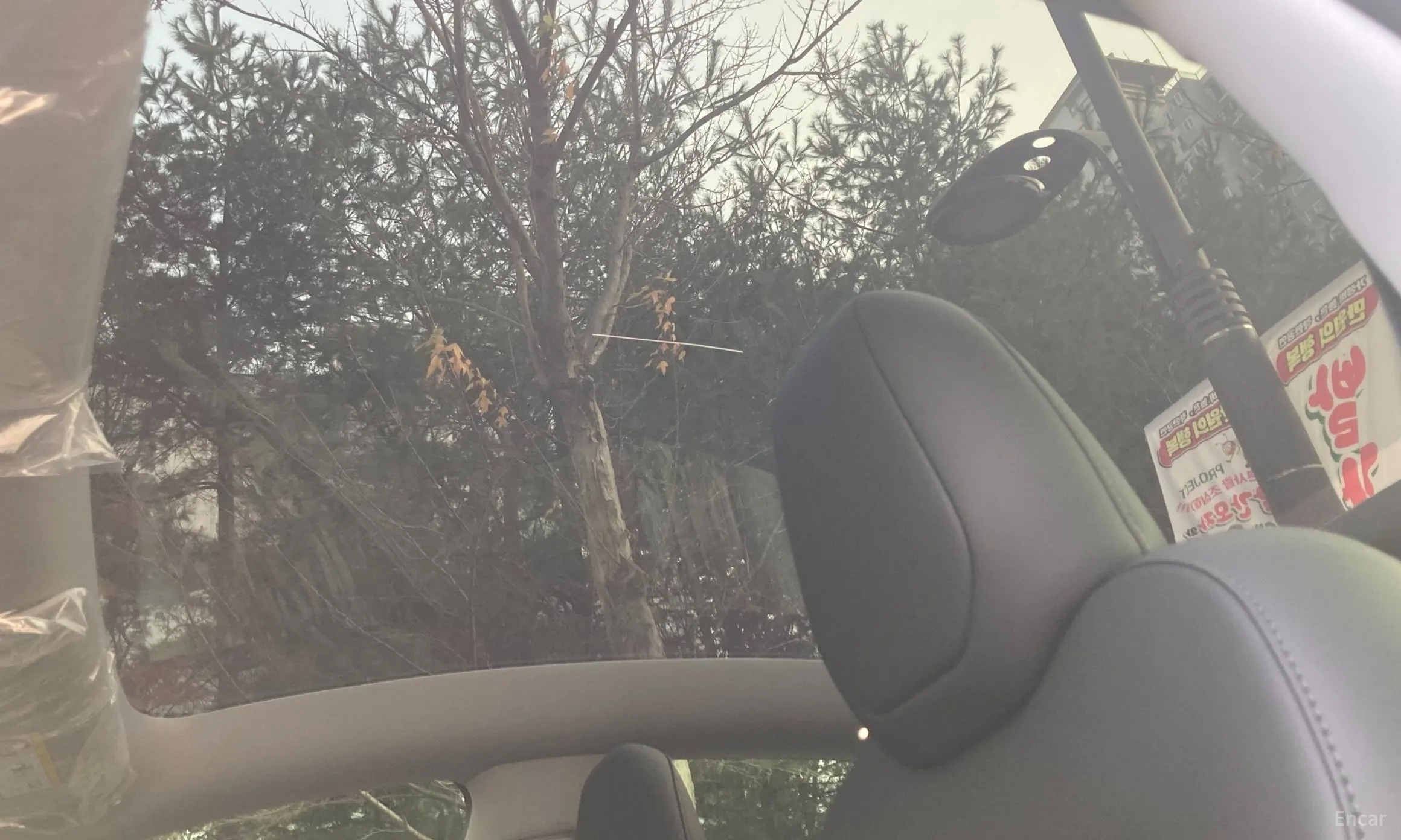 Tesla Model Y превью 16
