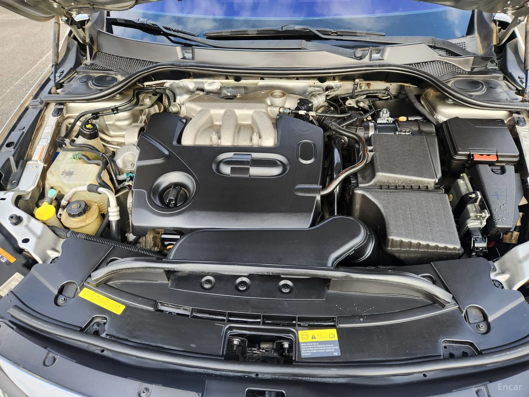Renault Korea (Samsung) SM7 превью 6