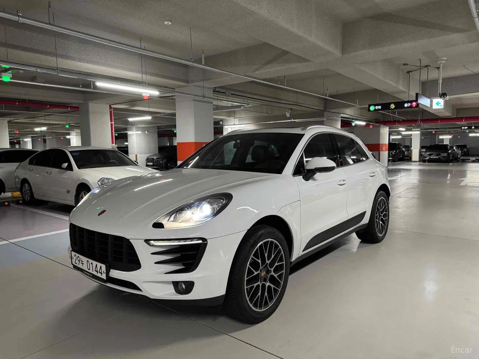Macan