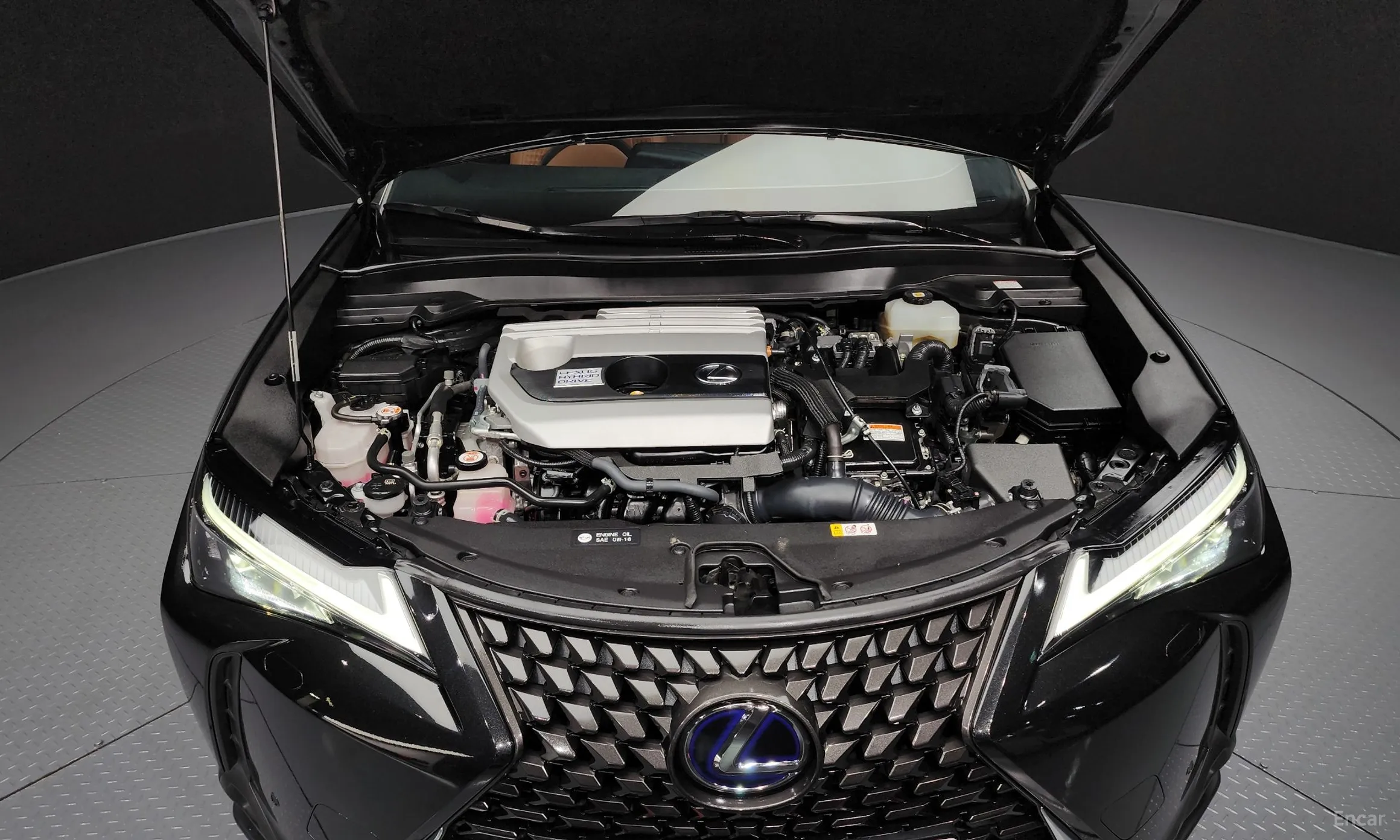Lexus UX250h превью 6