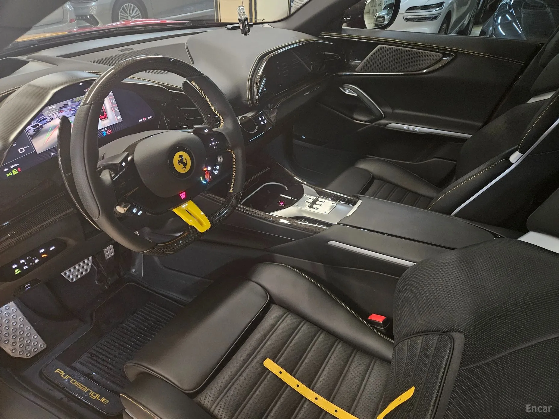 Ferrari Puro Sange превью 10
