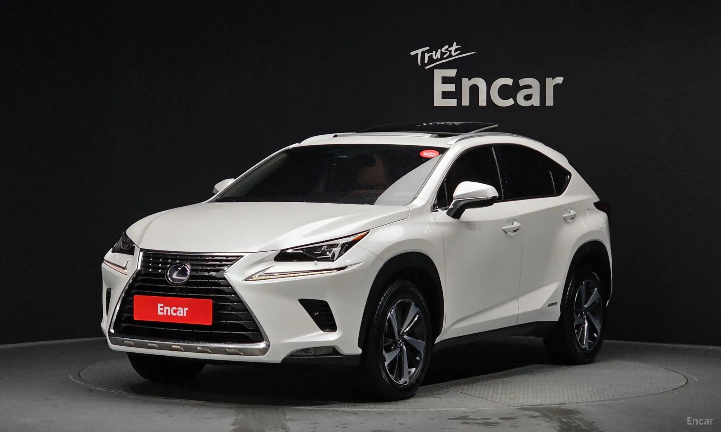 Lexus NX300h