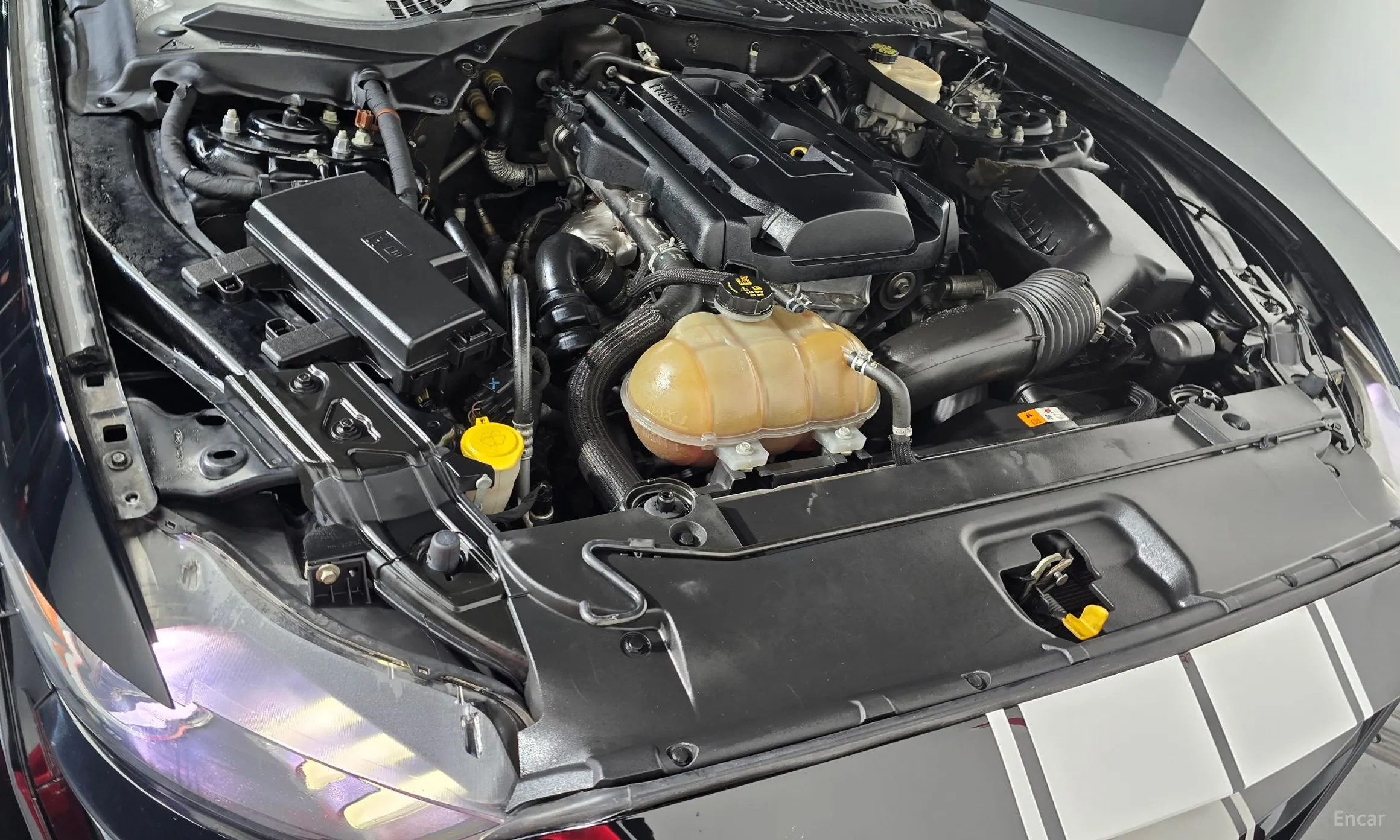 Ford Mustang превью 6