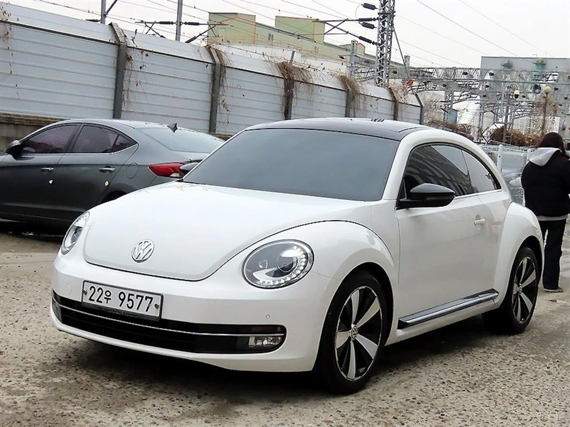 Volkswagen The Beetle