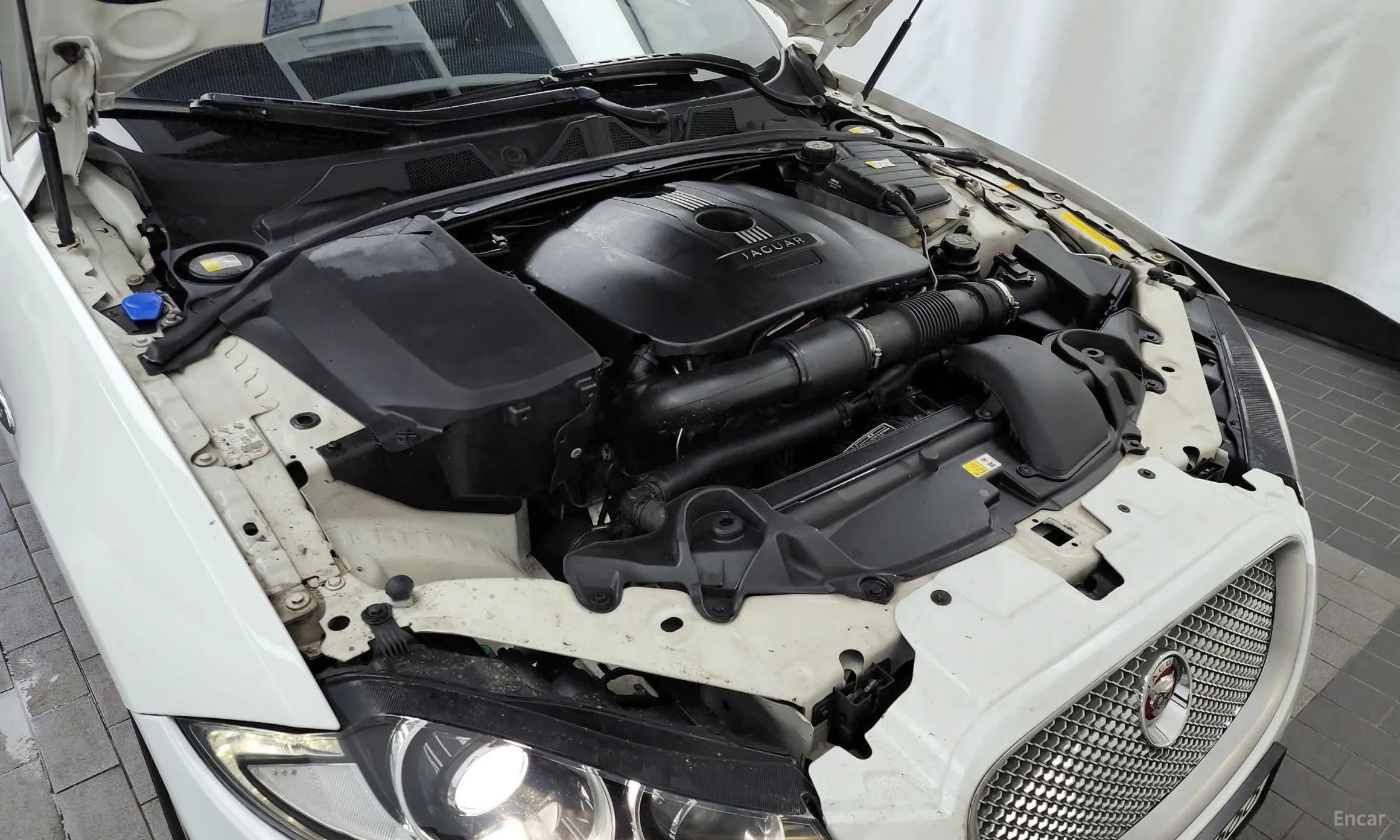 Jaguar New XF превью 6