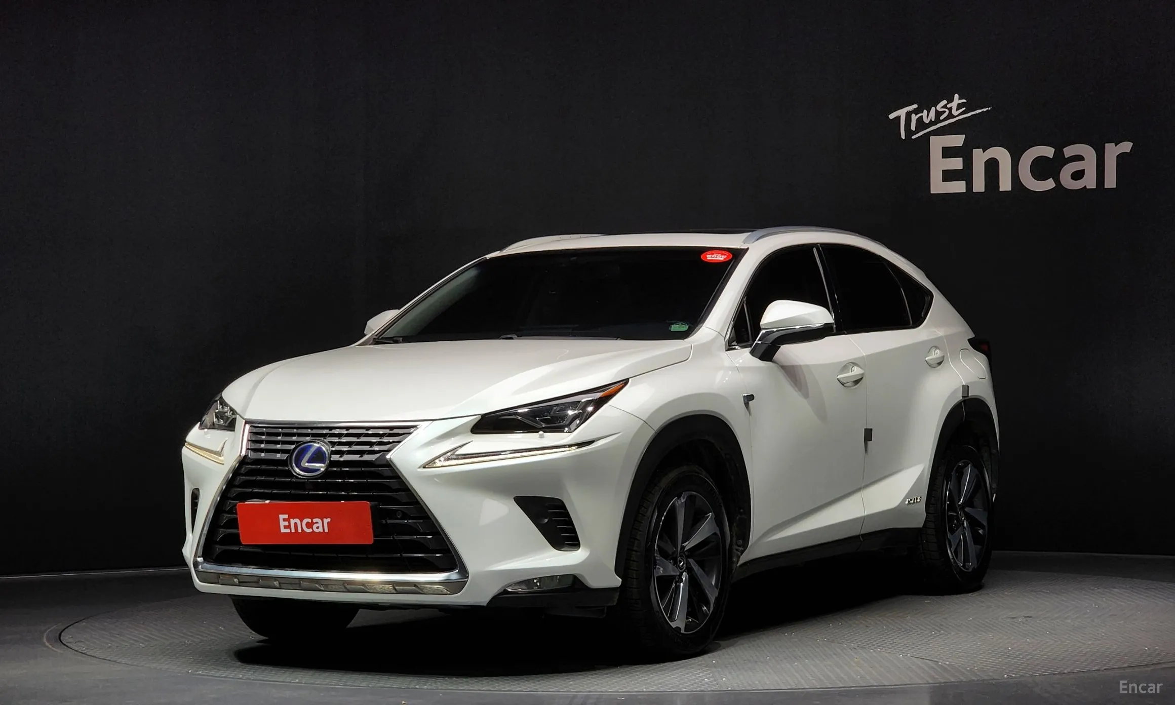 Lexus NX300h