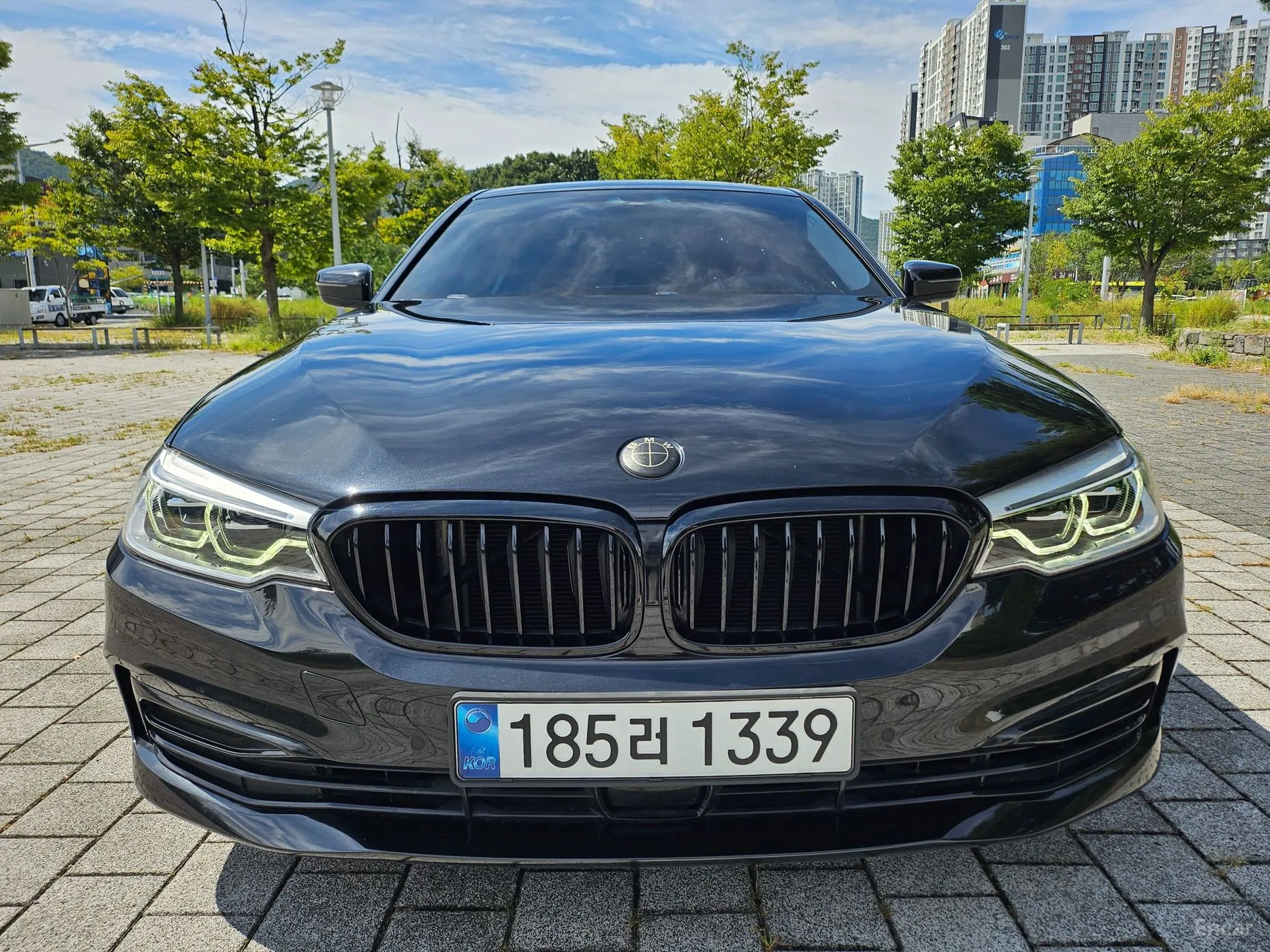 5 Series (G30)