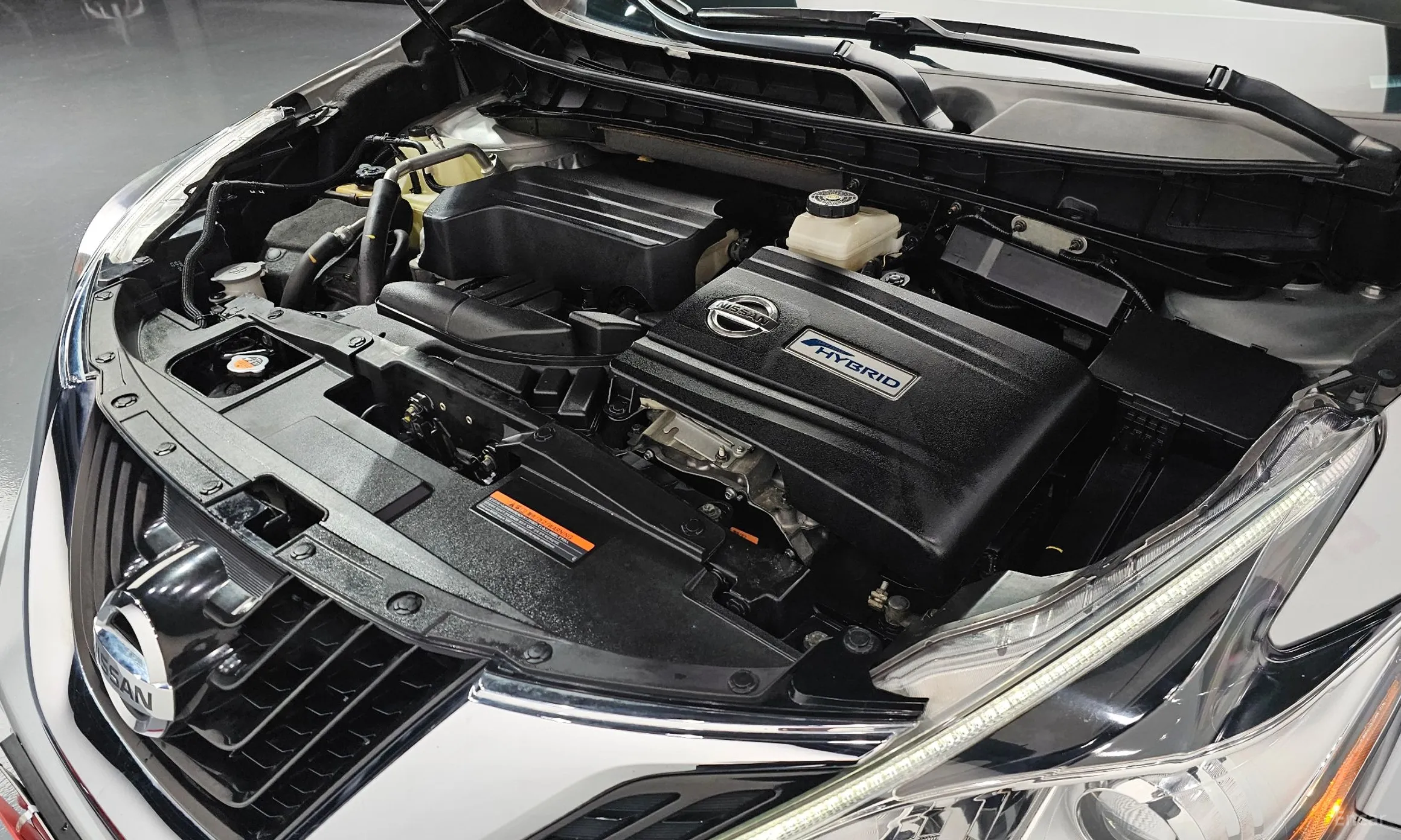 Nissan Murano (Z52) превью 6