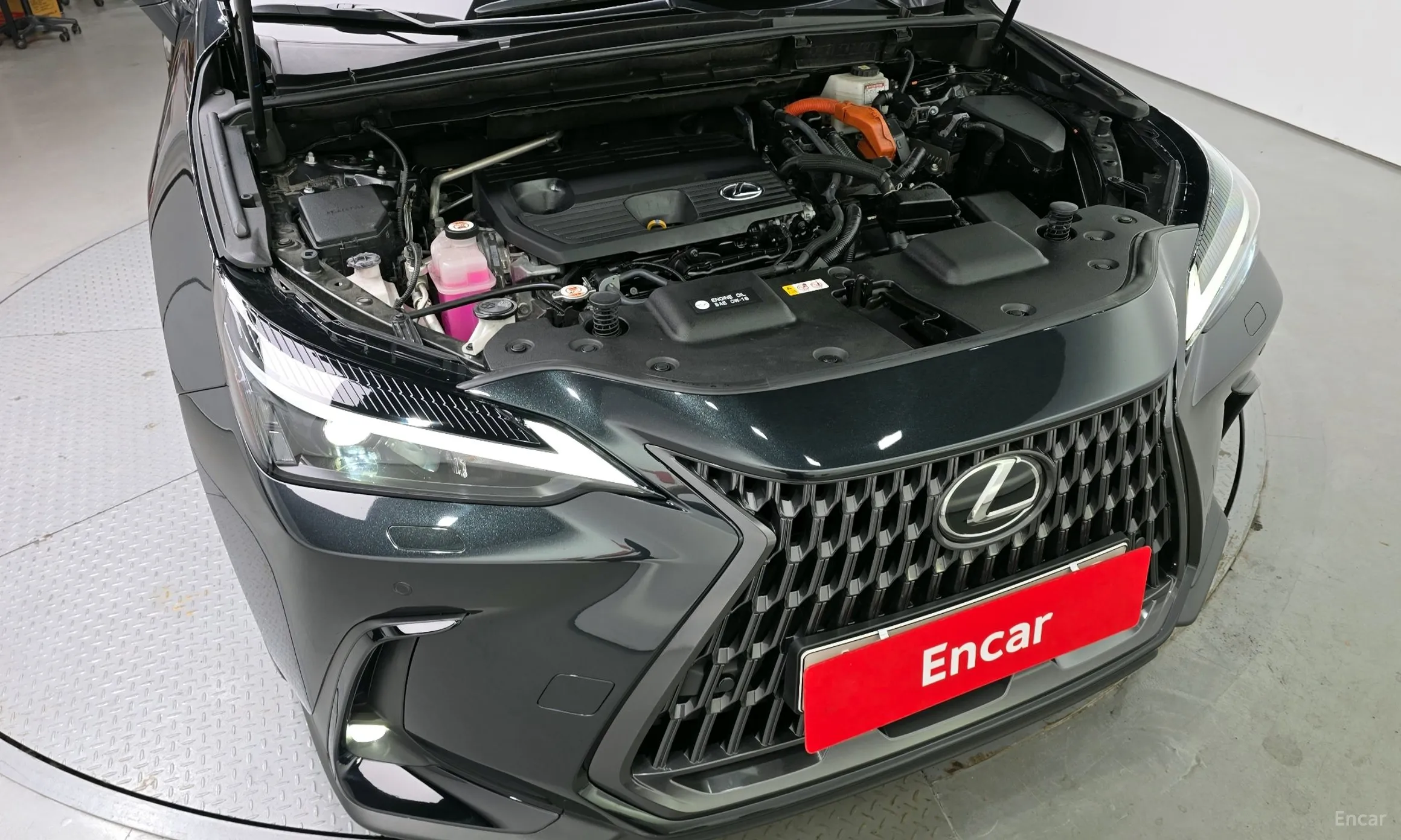 Lexus NX350h Gen 2 превью 6