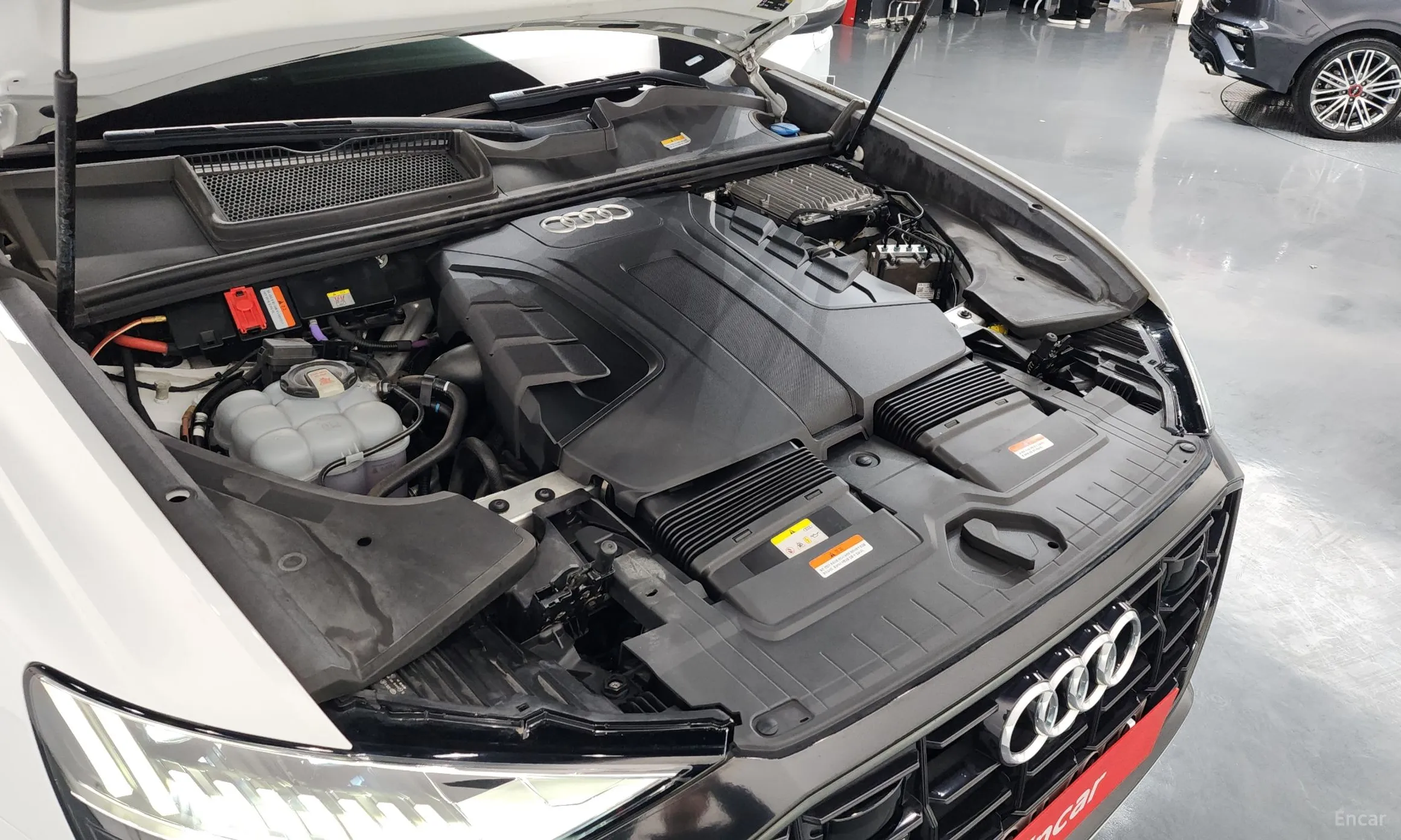 Audi Q8 (4M) превью 6