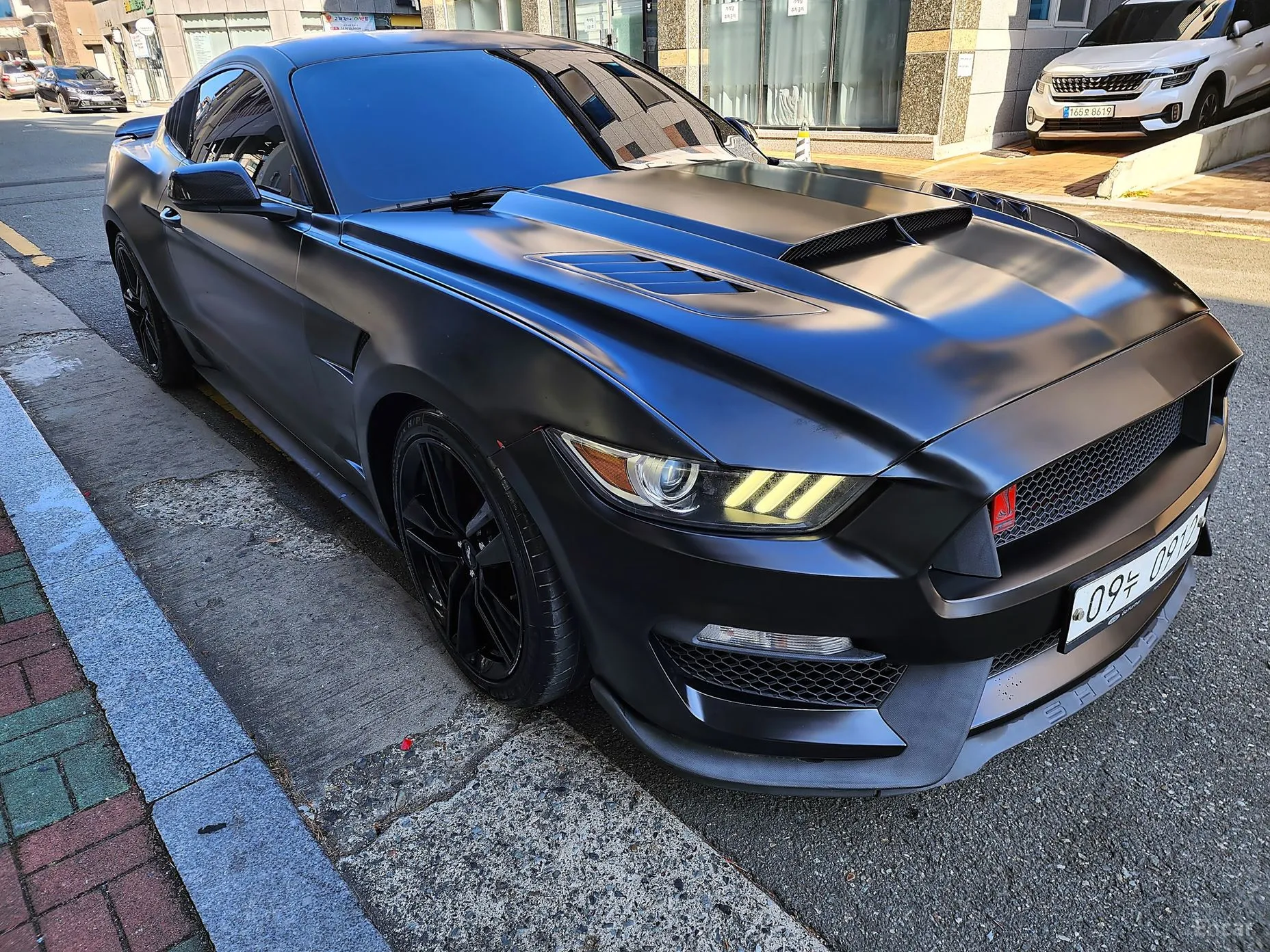 Mustang
