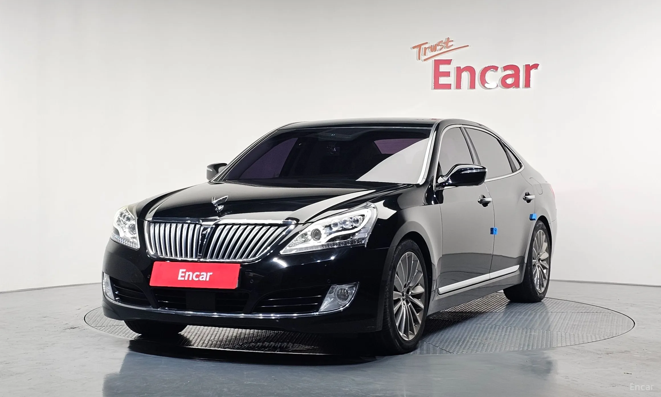 Equus (new)