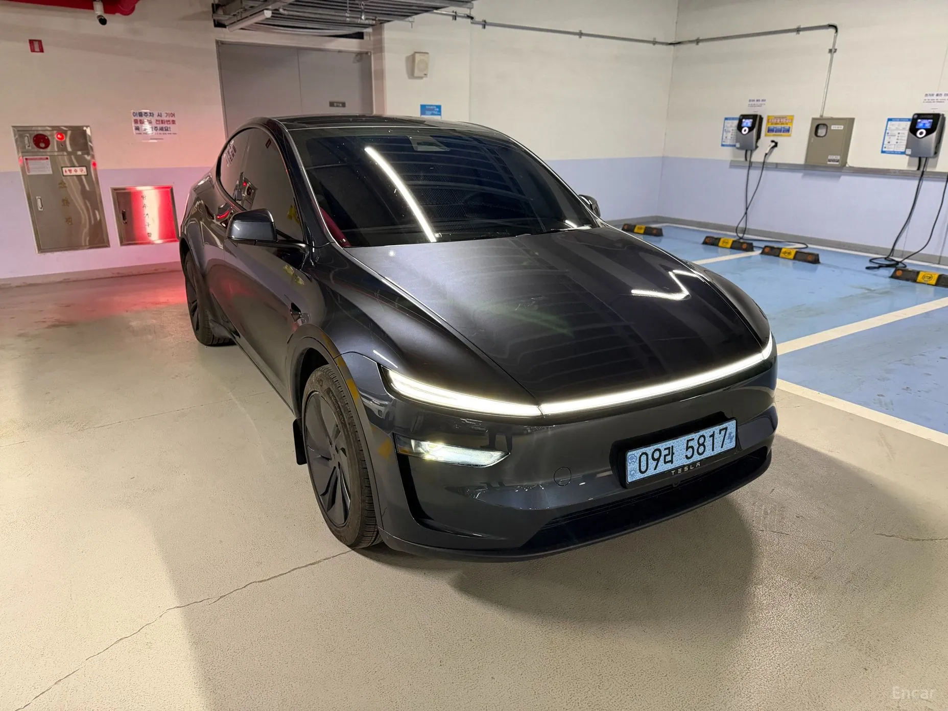 Tesla Model Y превью 3