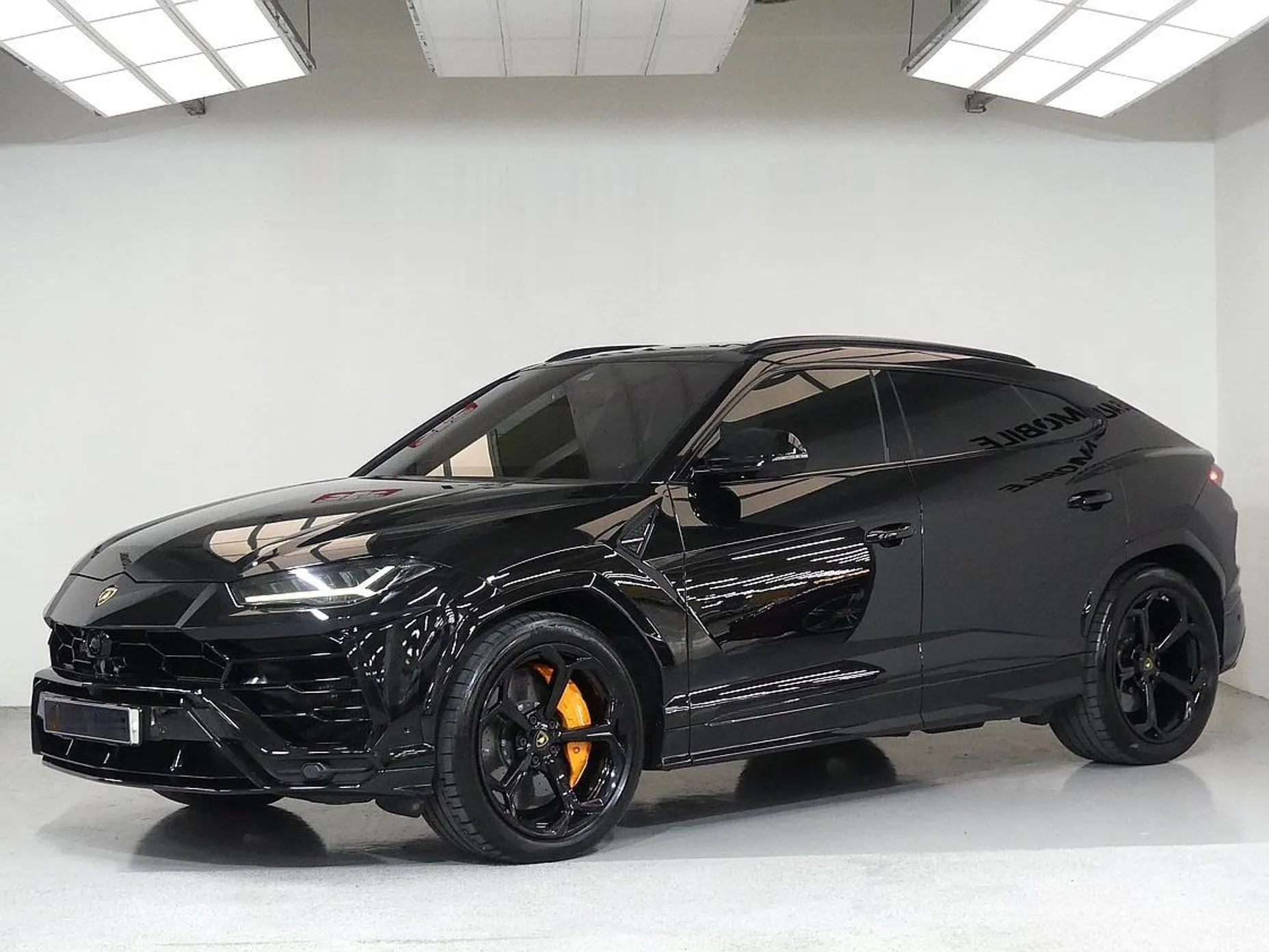 Urus