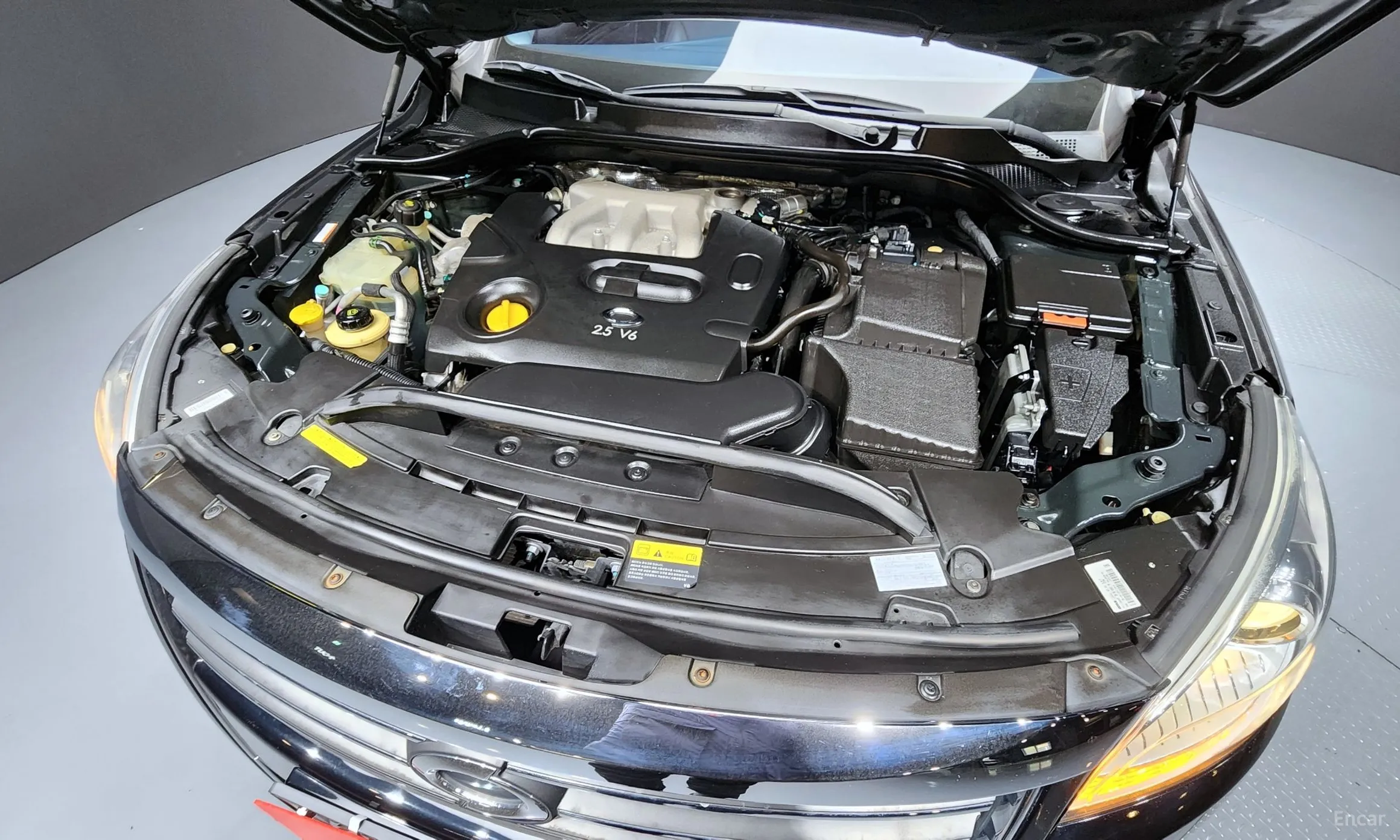 Renault Korea (Samsung) SM7 превью 6