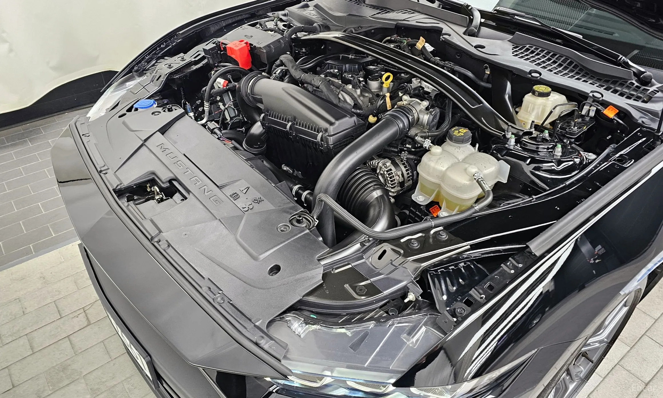 Ford Mustang 7th Generation превью 6