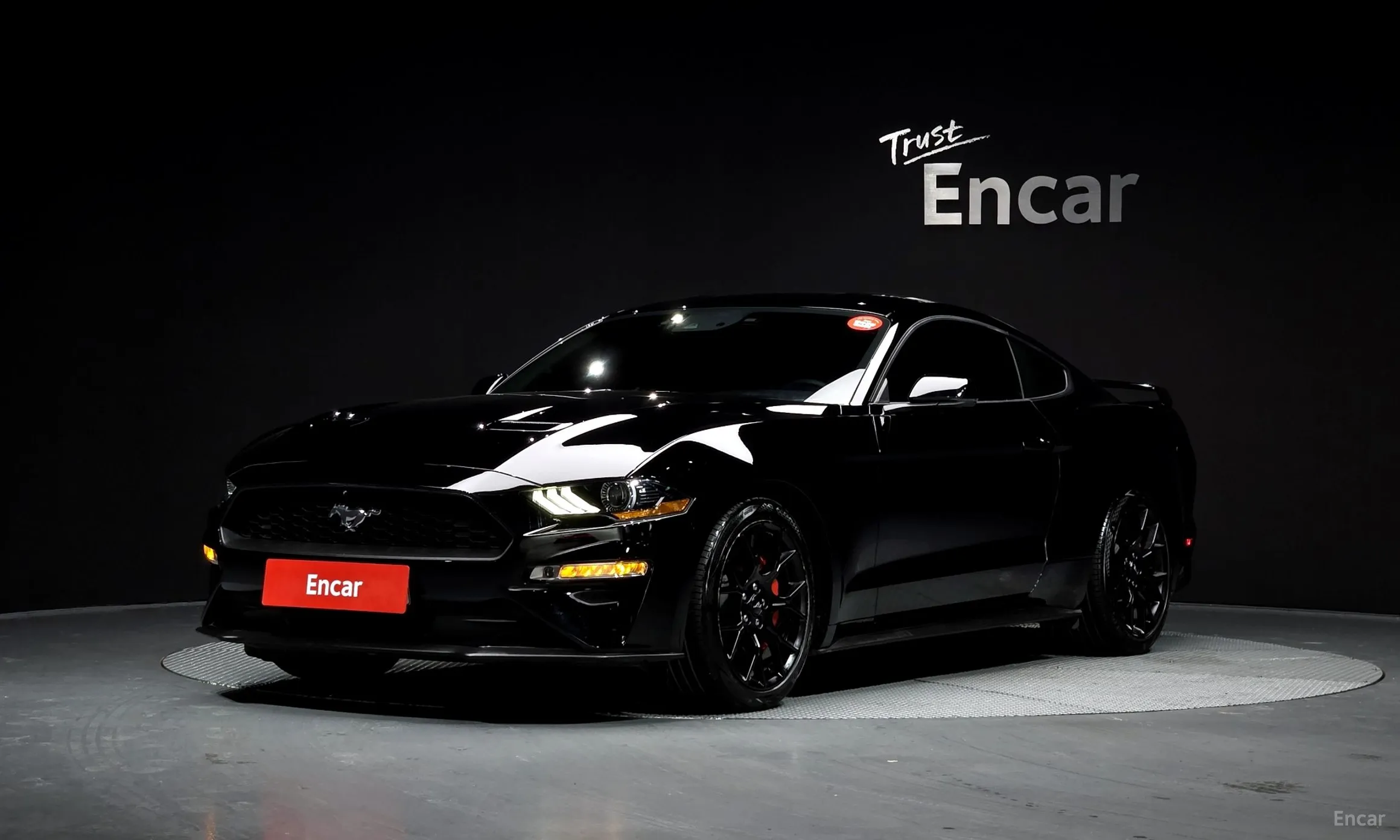 Mustang
