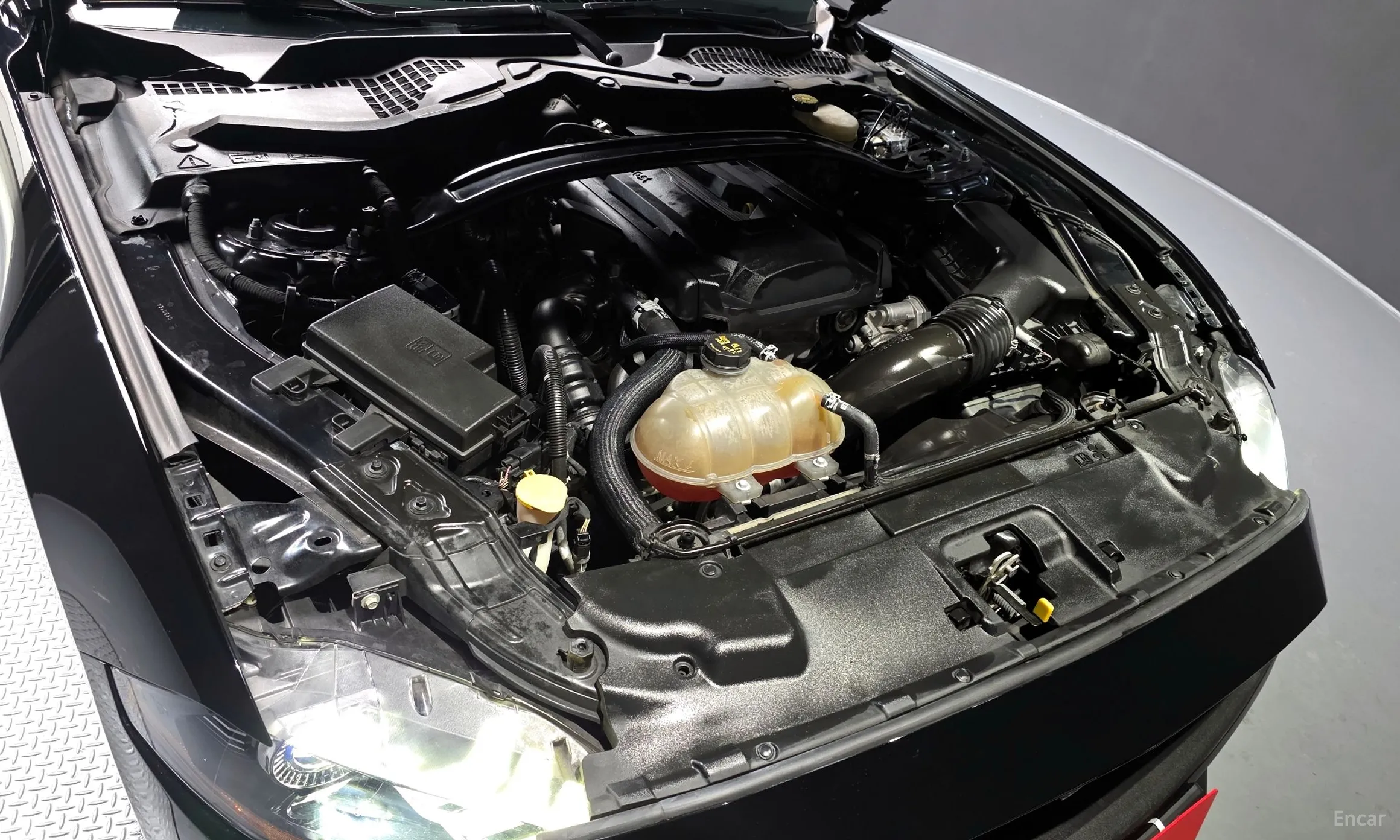 Ford Mustang превью 6