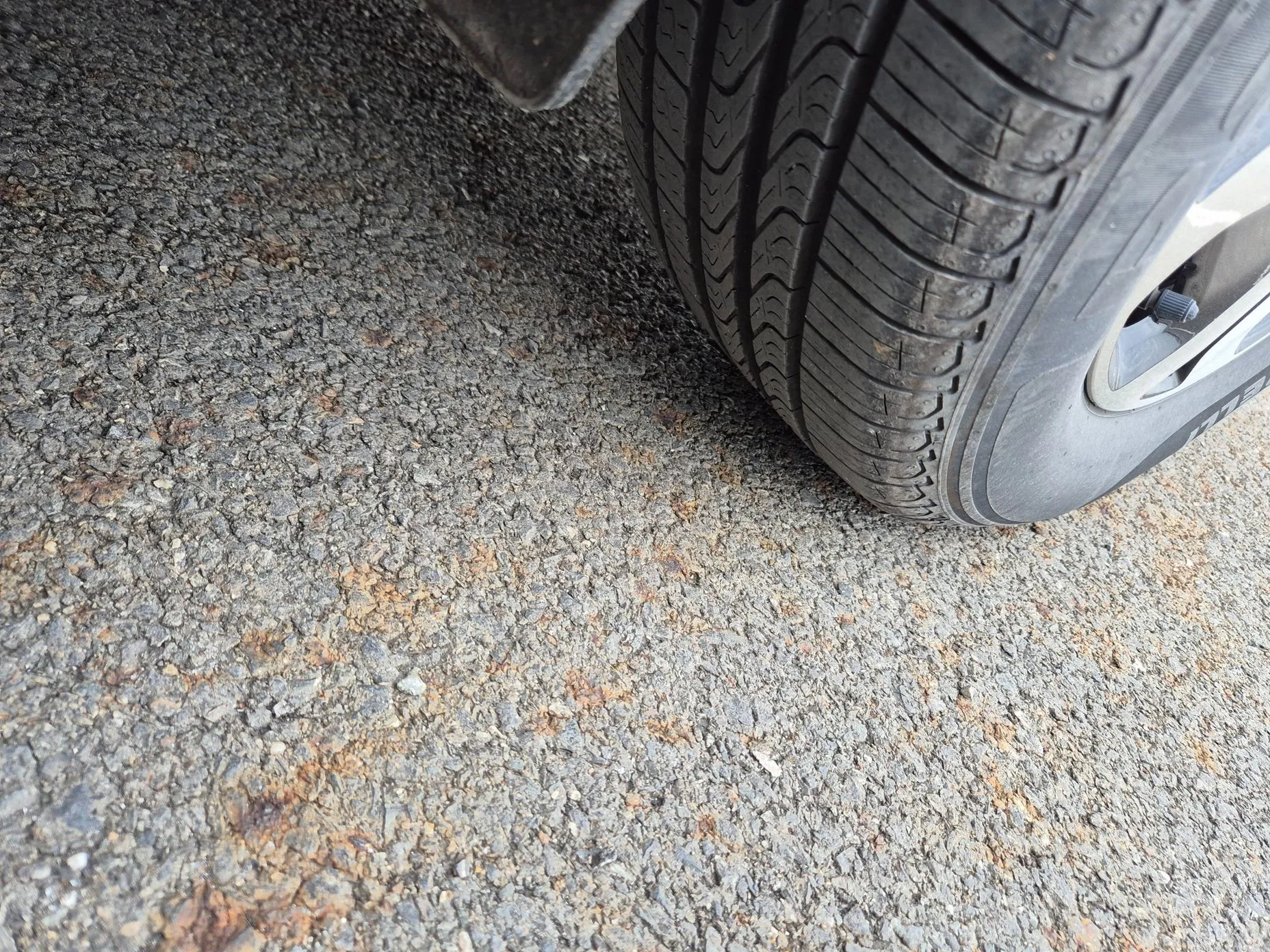 Honda Civic превью 18