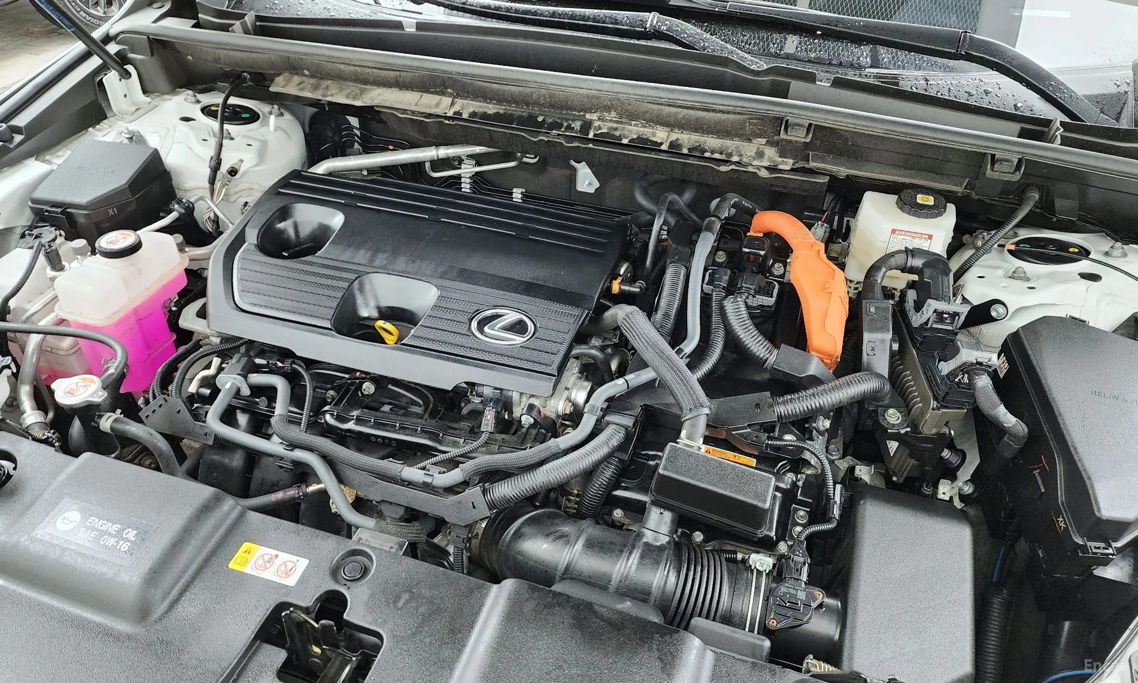 Lexus NX350h Gen 2 превью 6