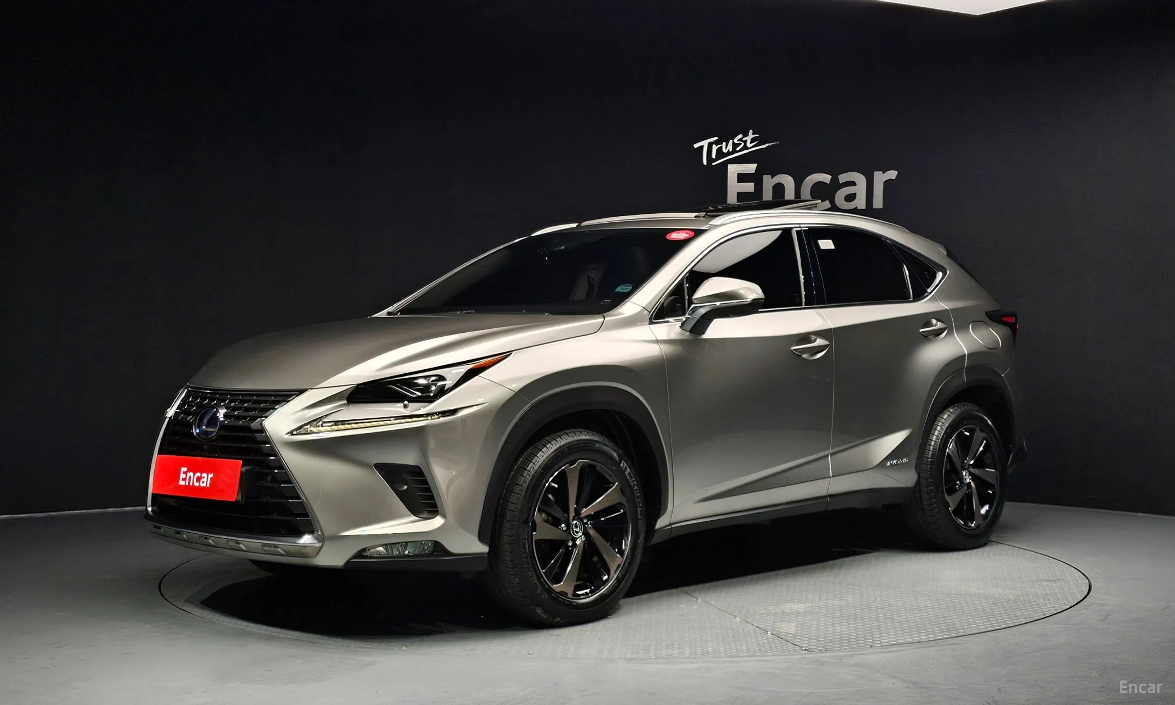 Lexus NX300h