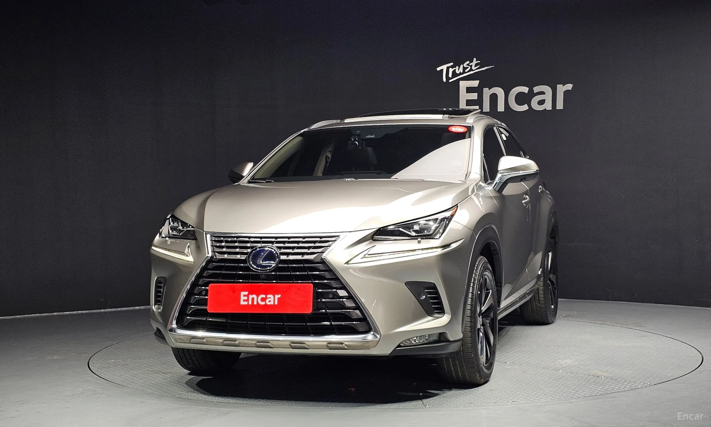Lexus NX300h превью 3