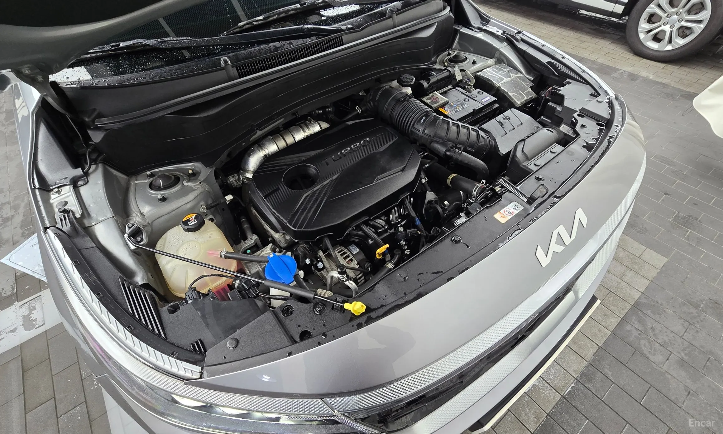 Kia Seltos превью 6