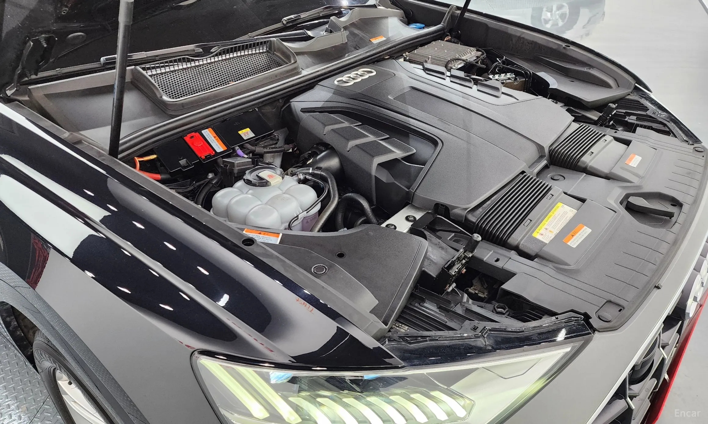 Audi Q8 (4M) превью 6