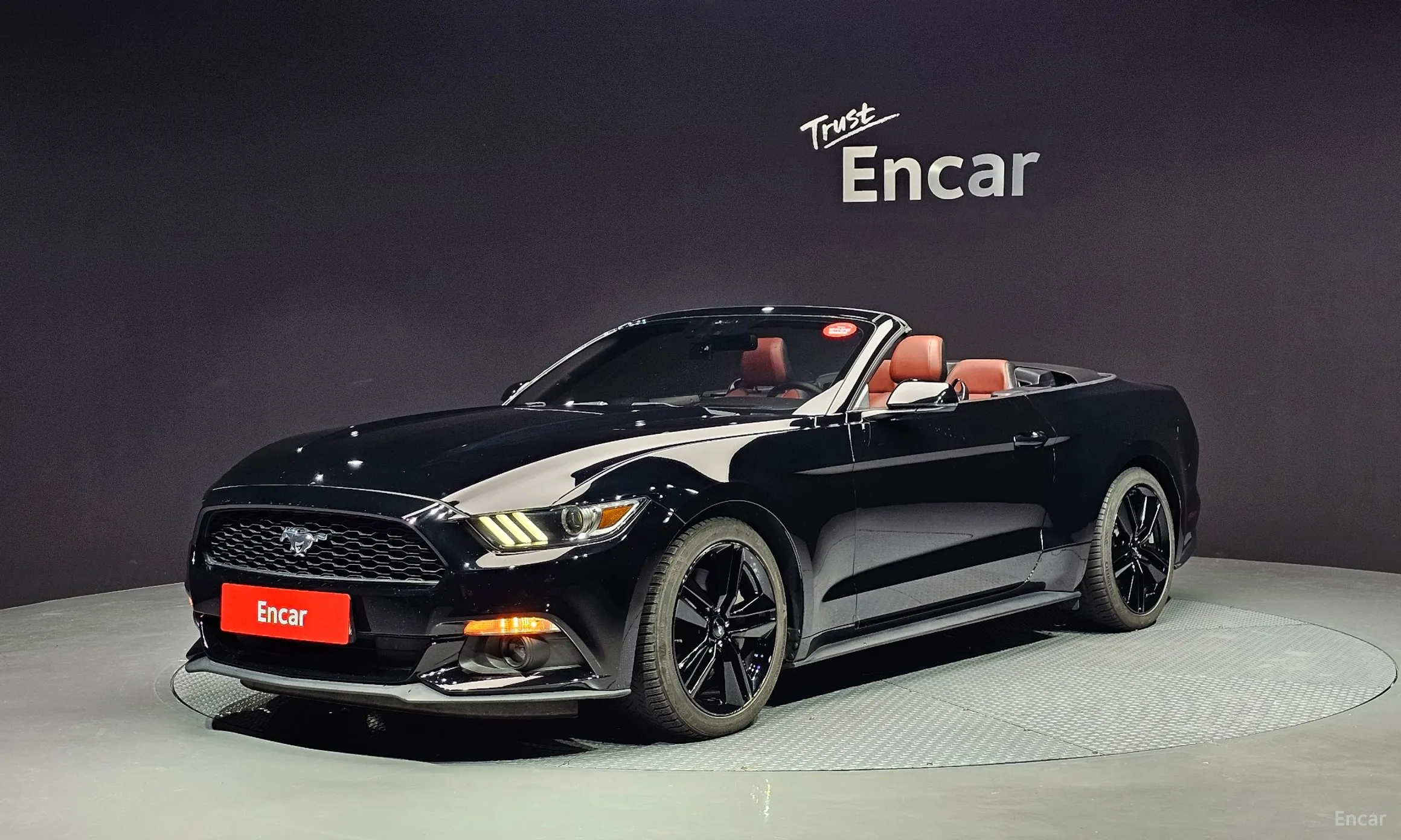 Mustang