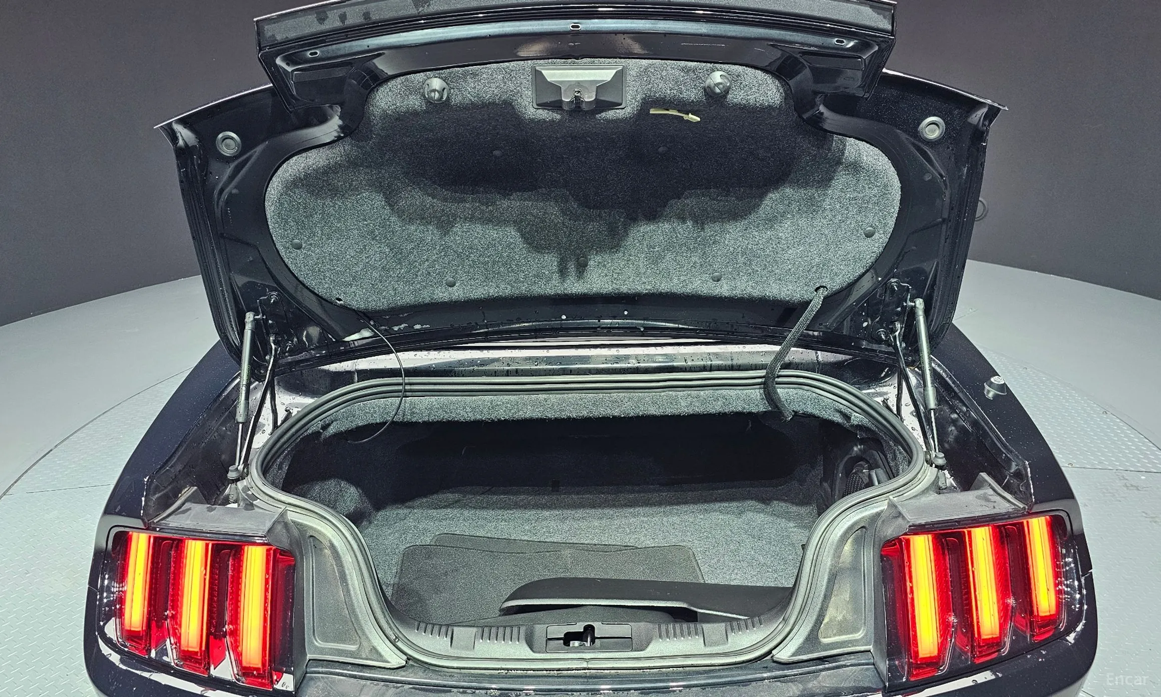 Ford Mustang превью 19