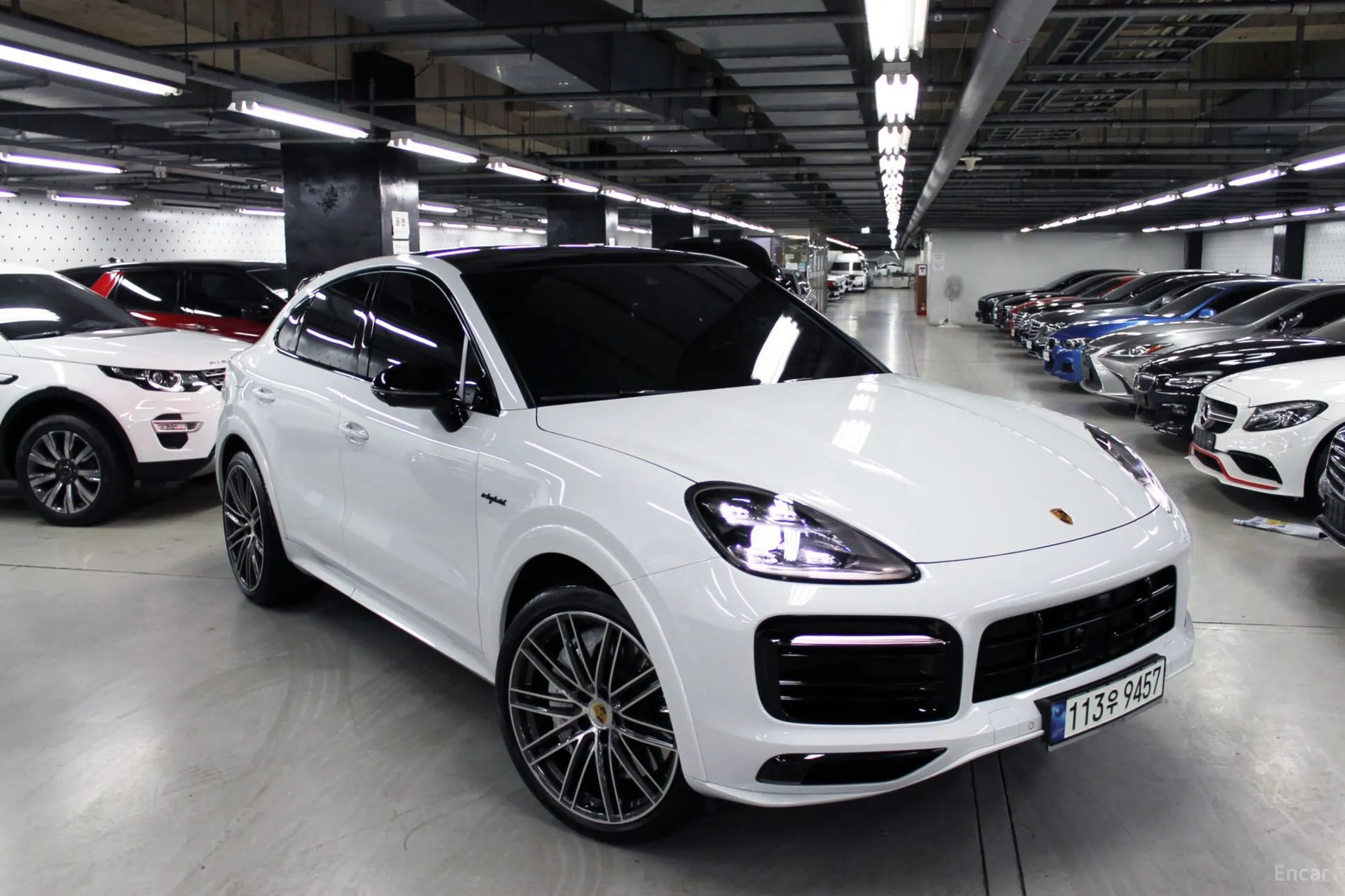 Cayenne (PO536)