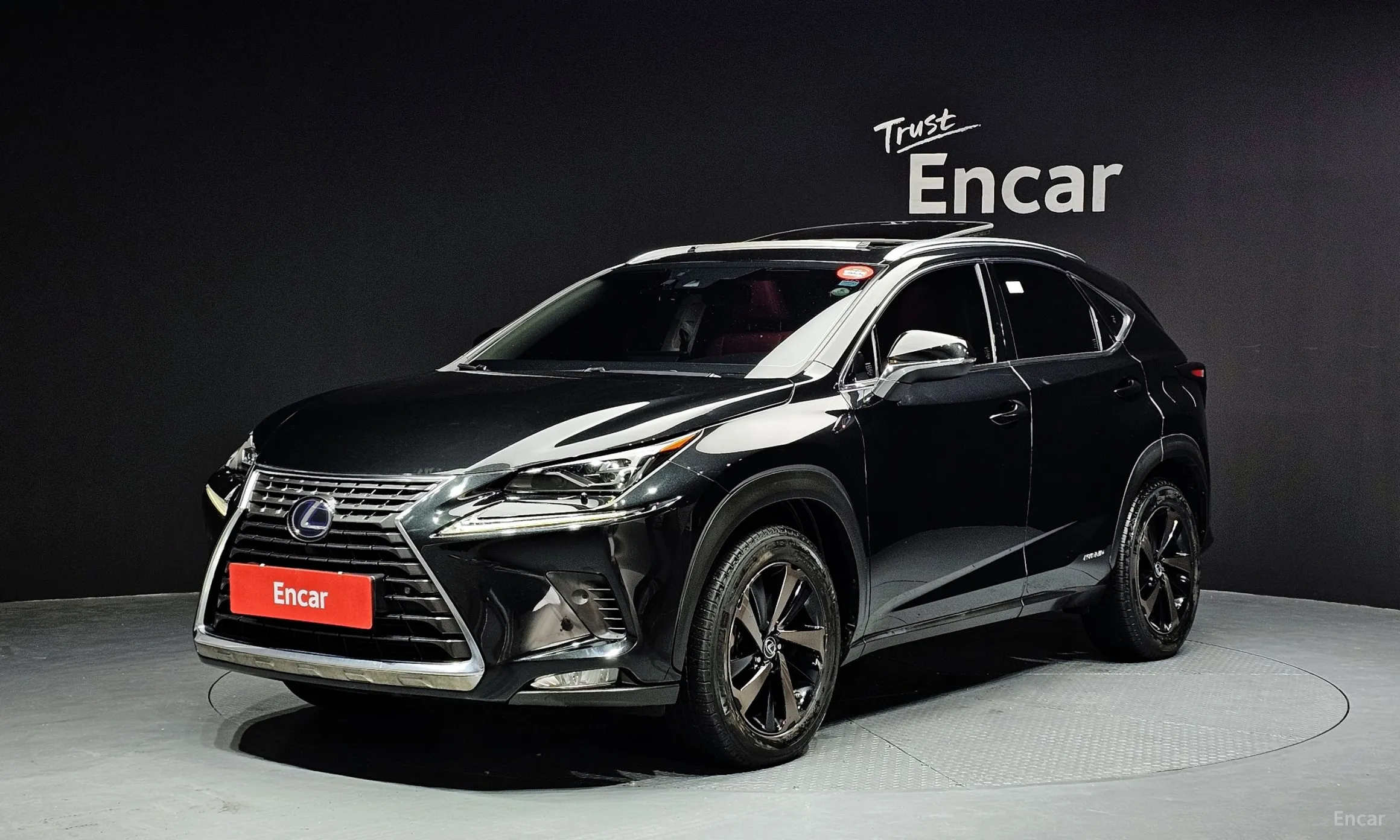 Lexus NX300h