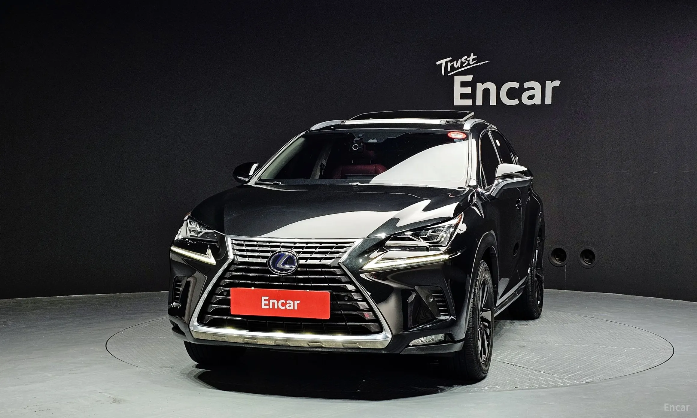 Lexus NX300h превью 3