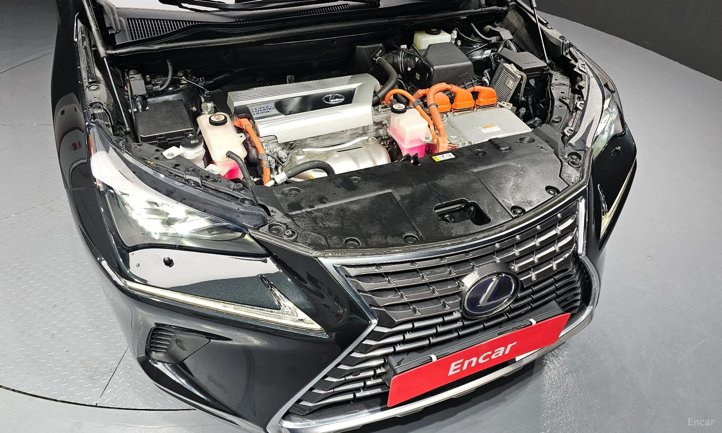 Lexus NX300h превью 6