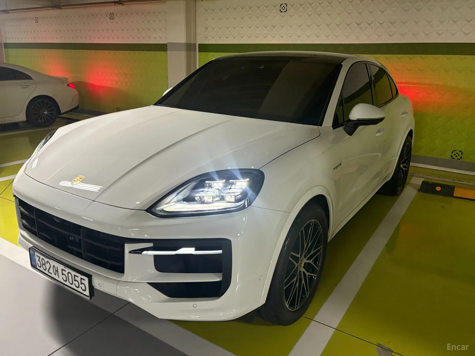 Cayenne (PO536)