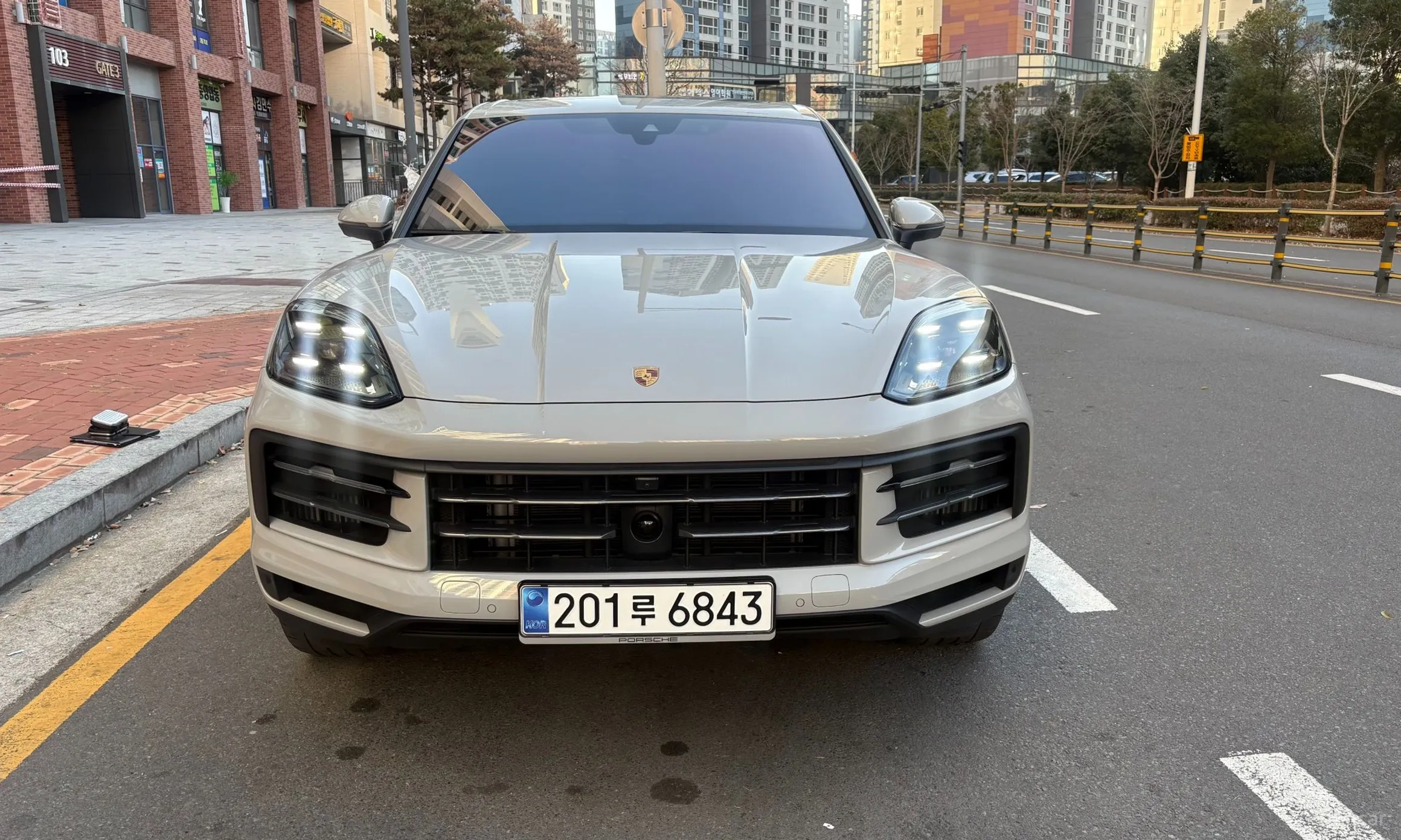 Cayenne (PO536)