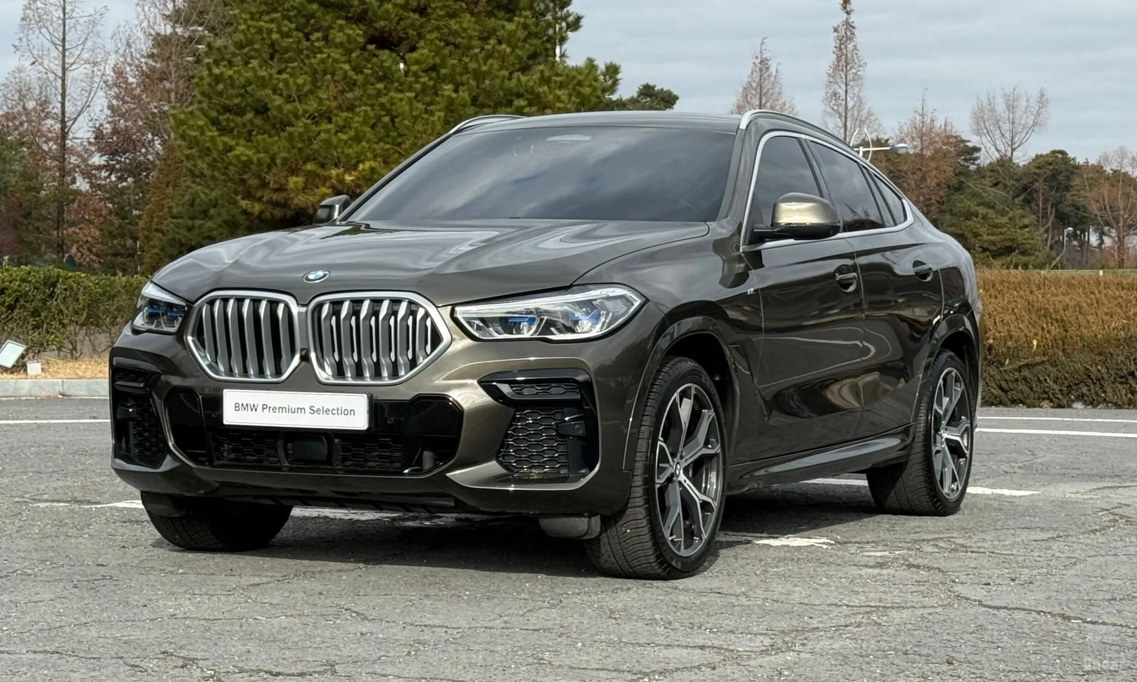 BMW X6 (G06)