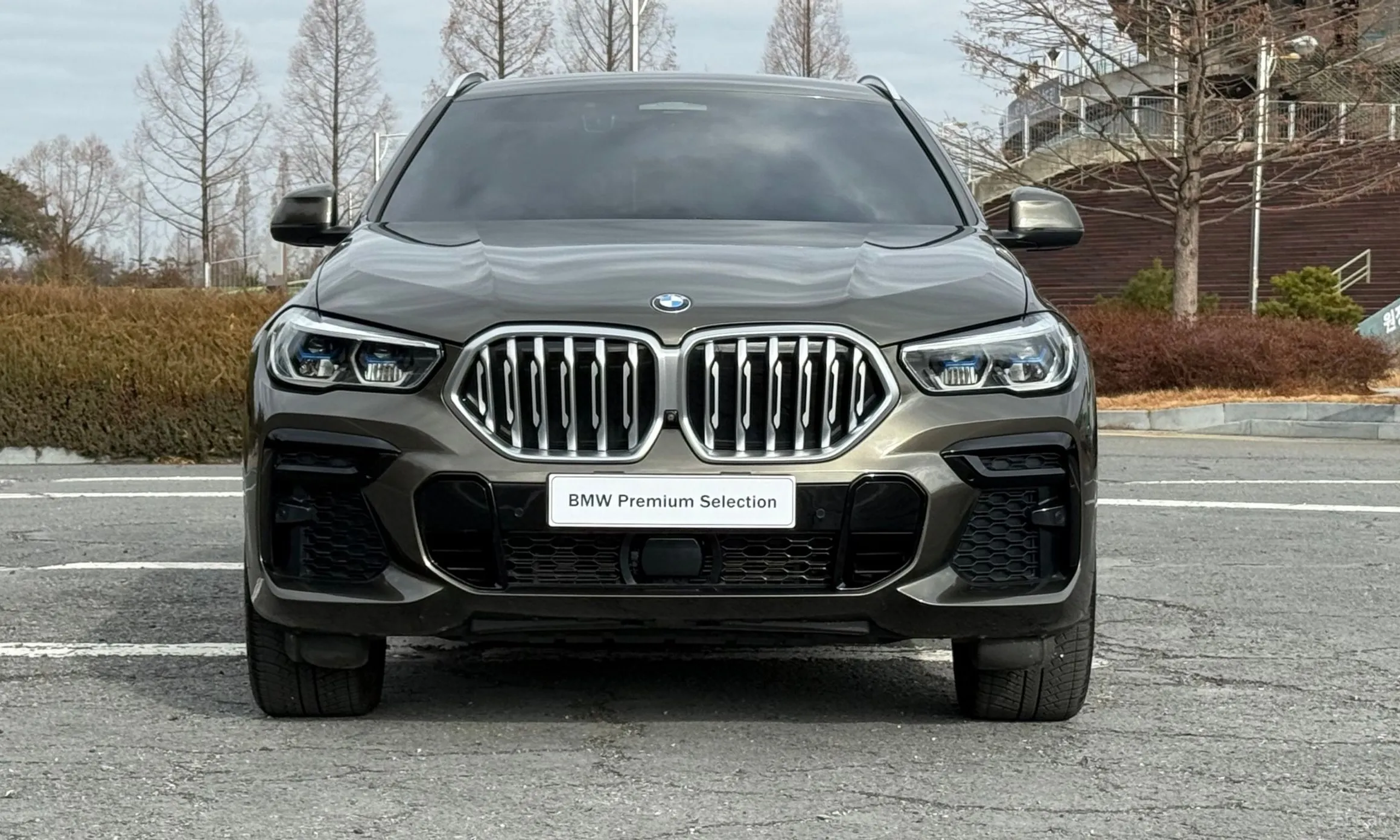 BMW X6 (G06) превью 3