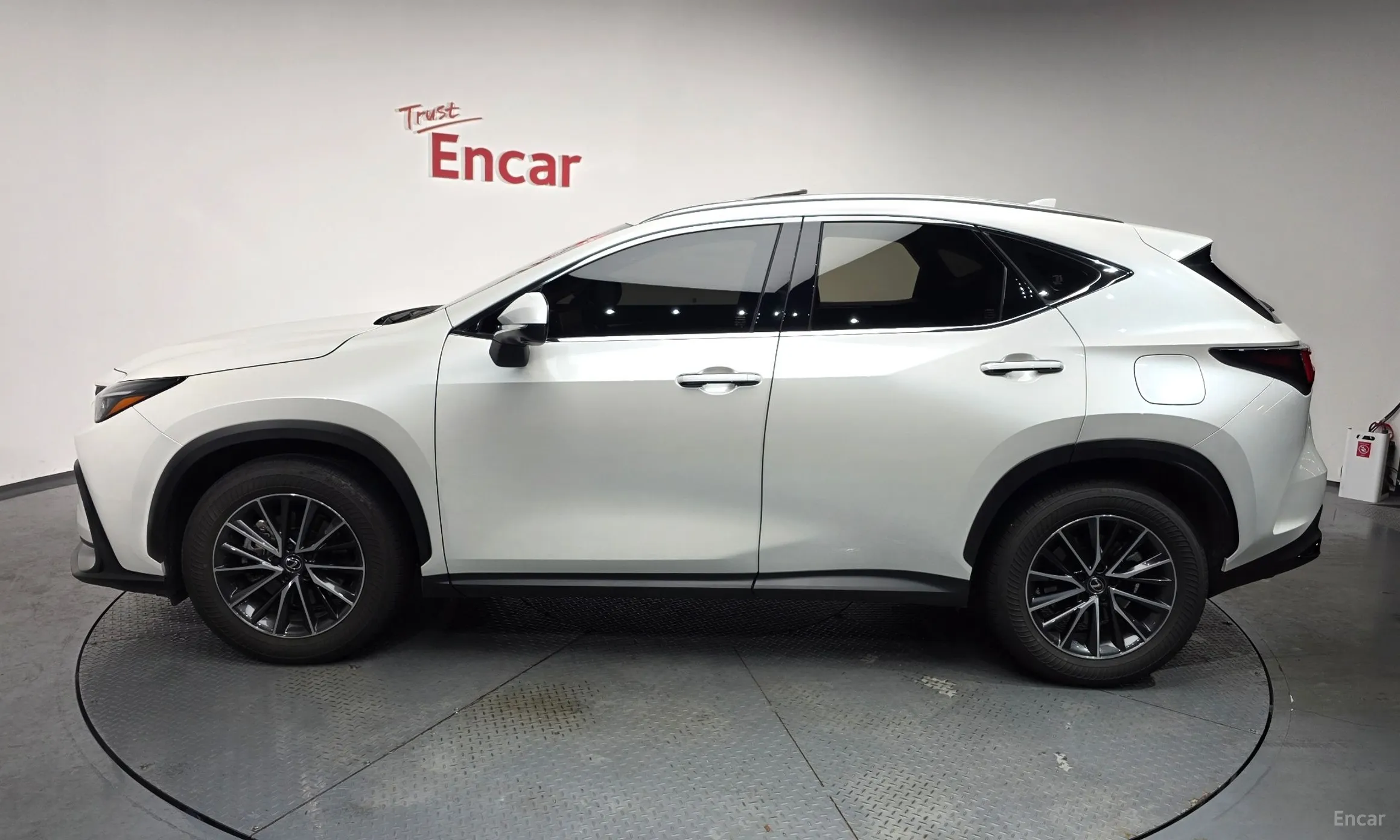 Lexus NX450h + 2nd Gen превью 20