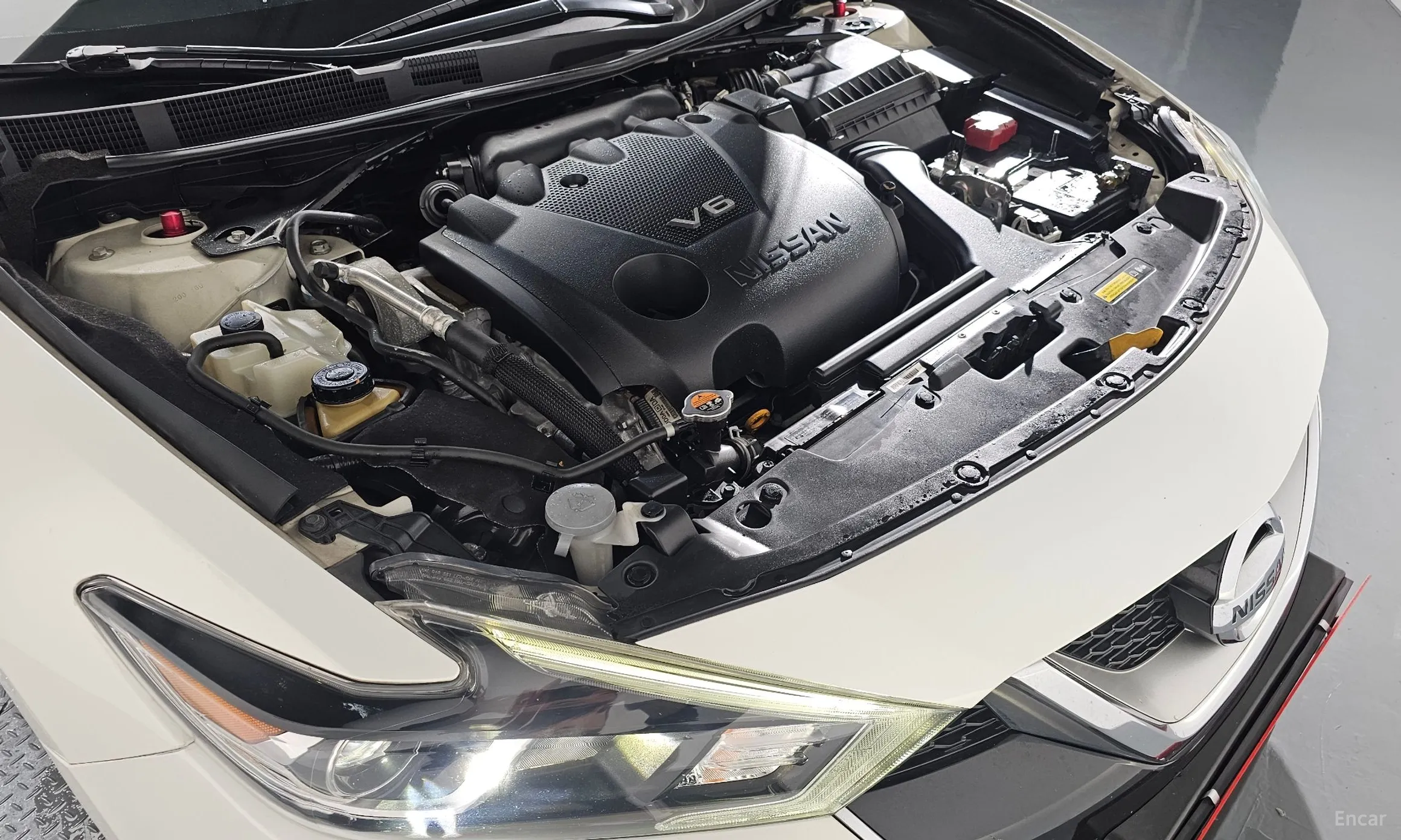 Nissan Maxima (A36) превью 6