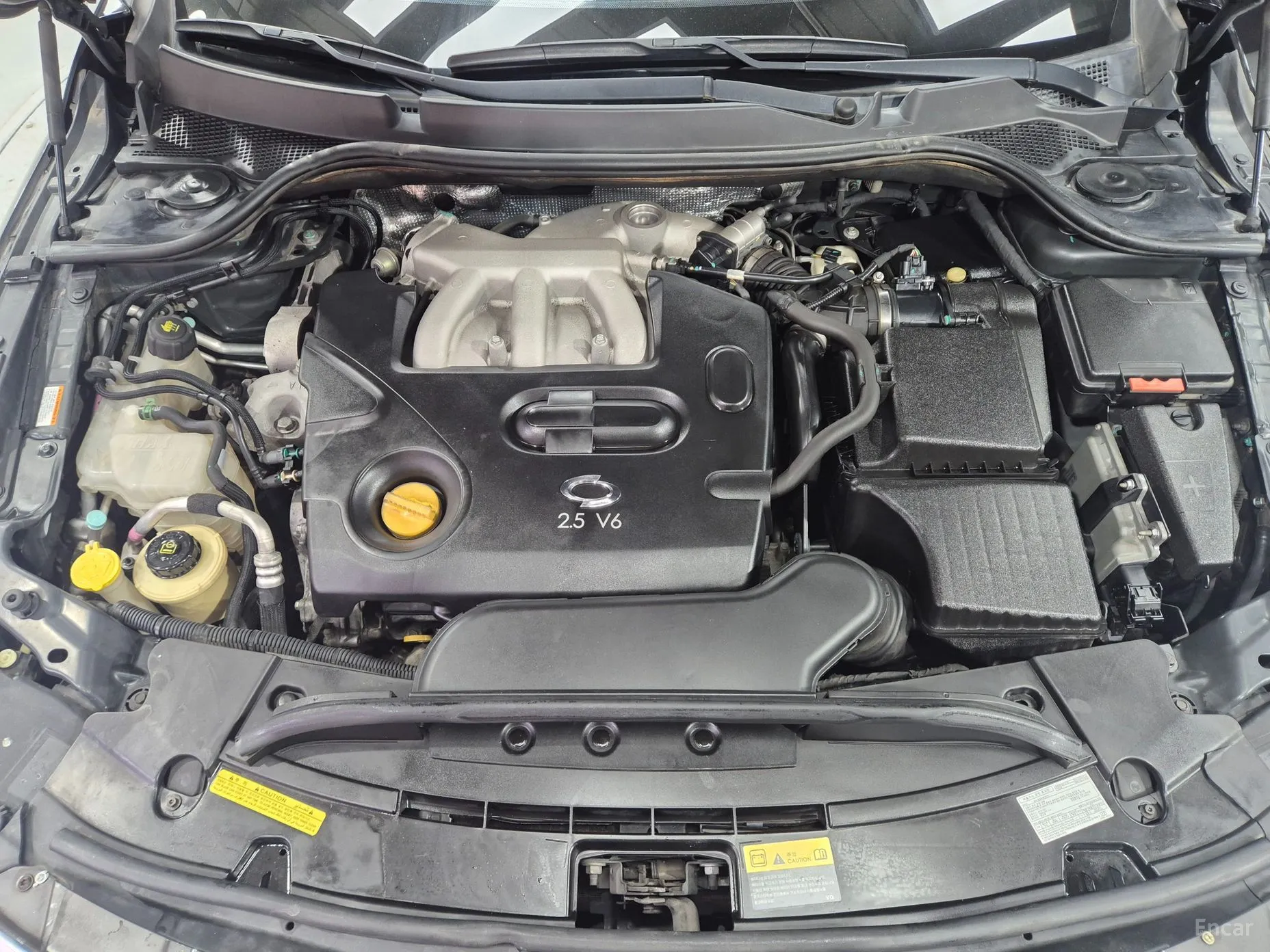 Renault Korea (Samsung) SM7 превью 19