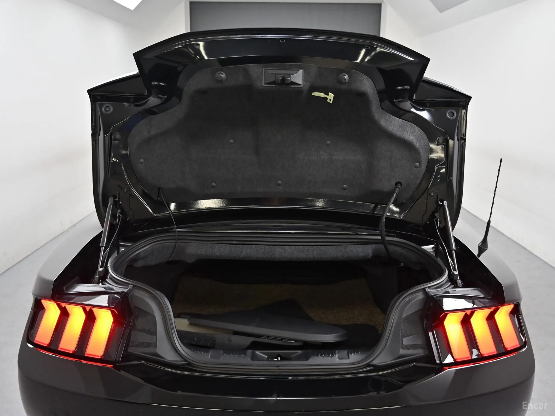 Ford Mustang 7th Generation превью 17