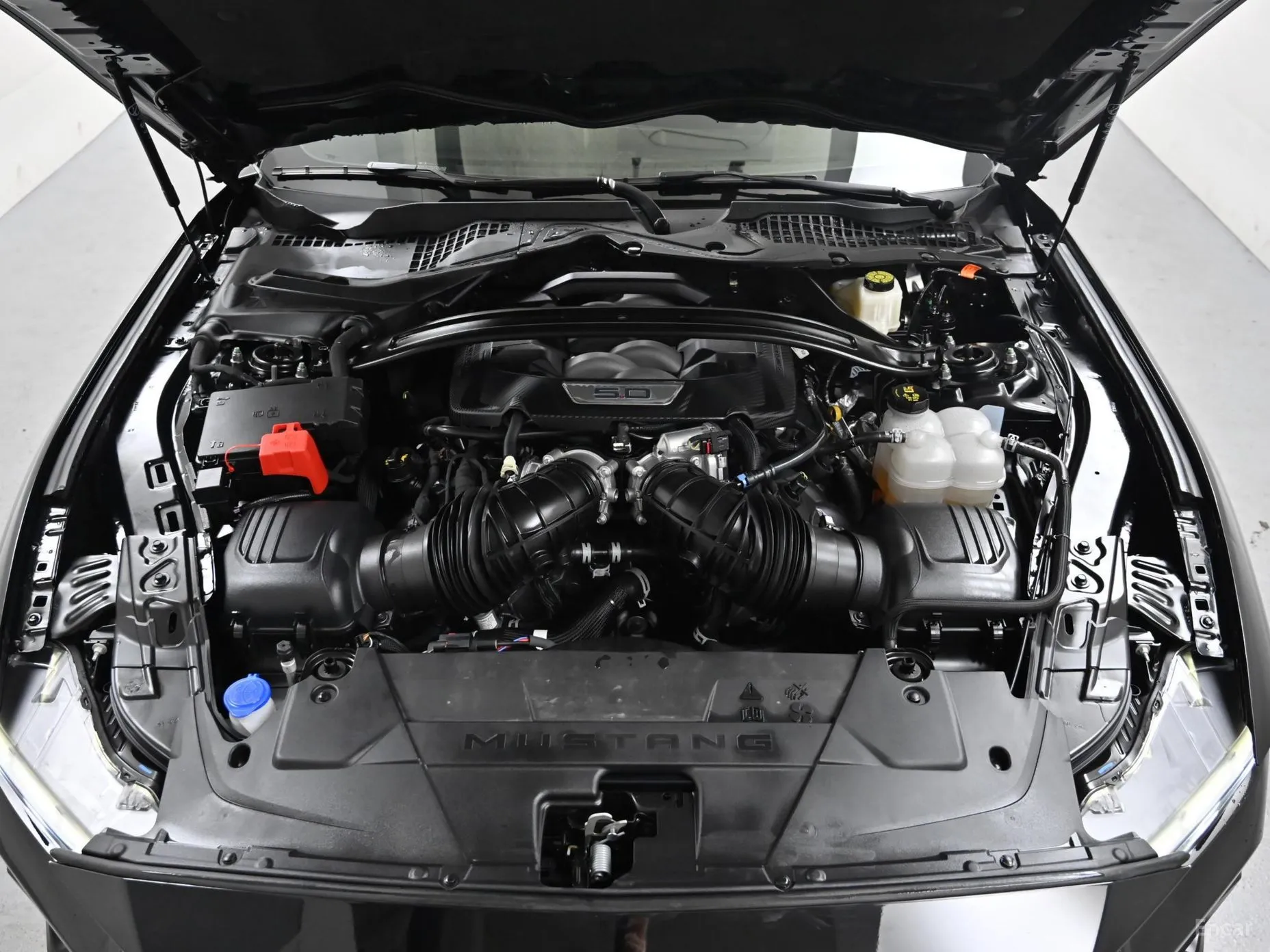 Ford Mustang 7th Generation превью 19